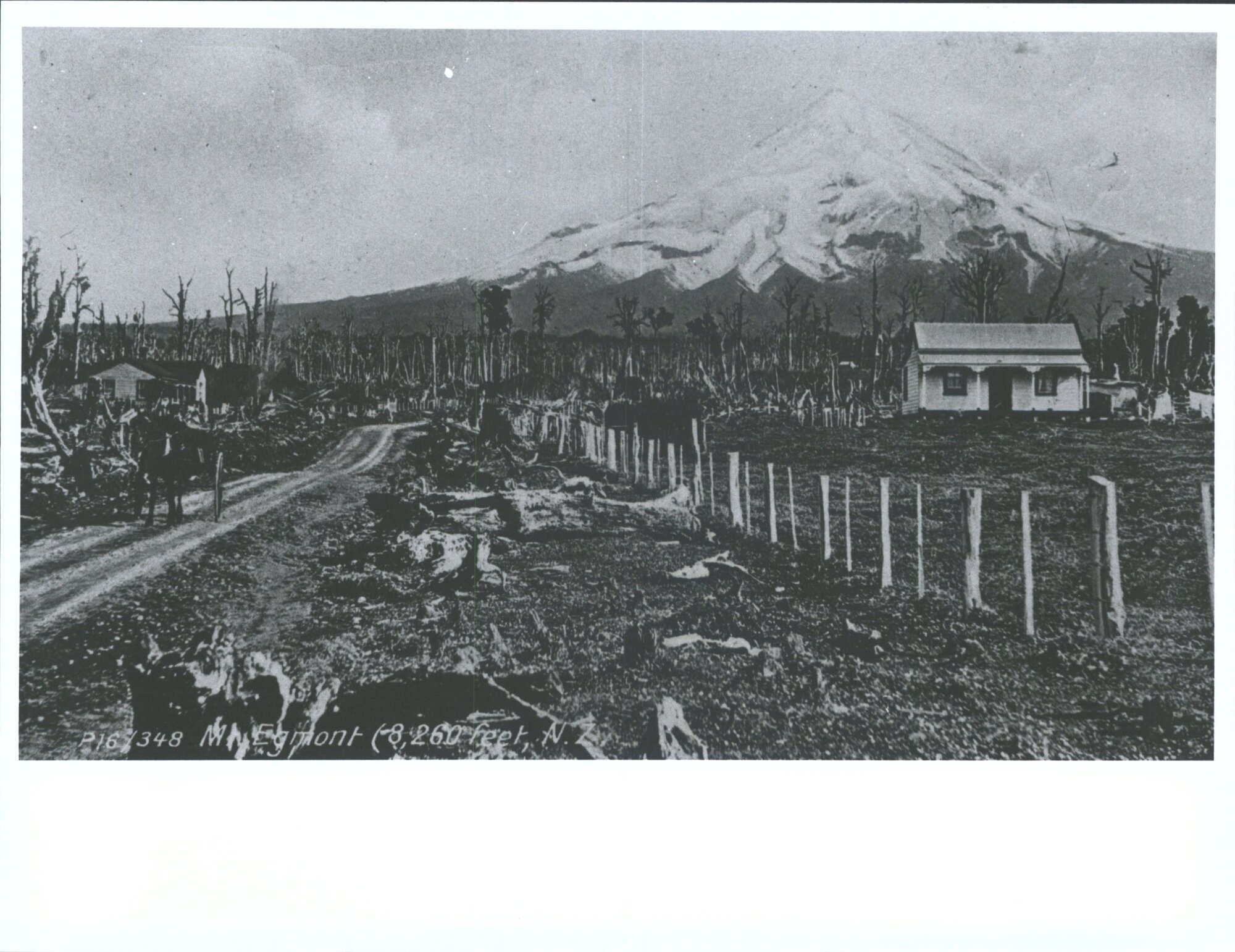 Mt. Egmont (8260ft.) N.Z.