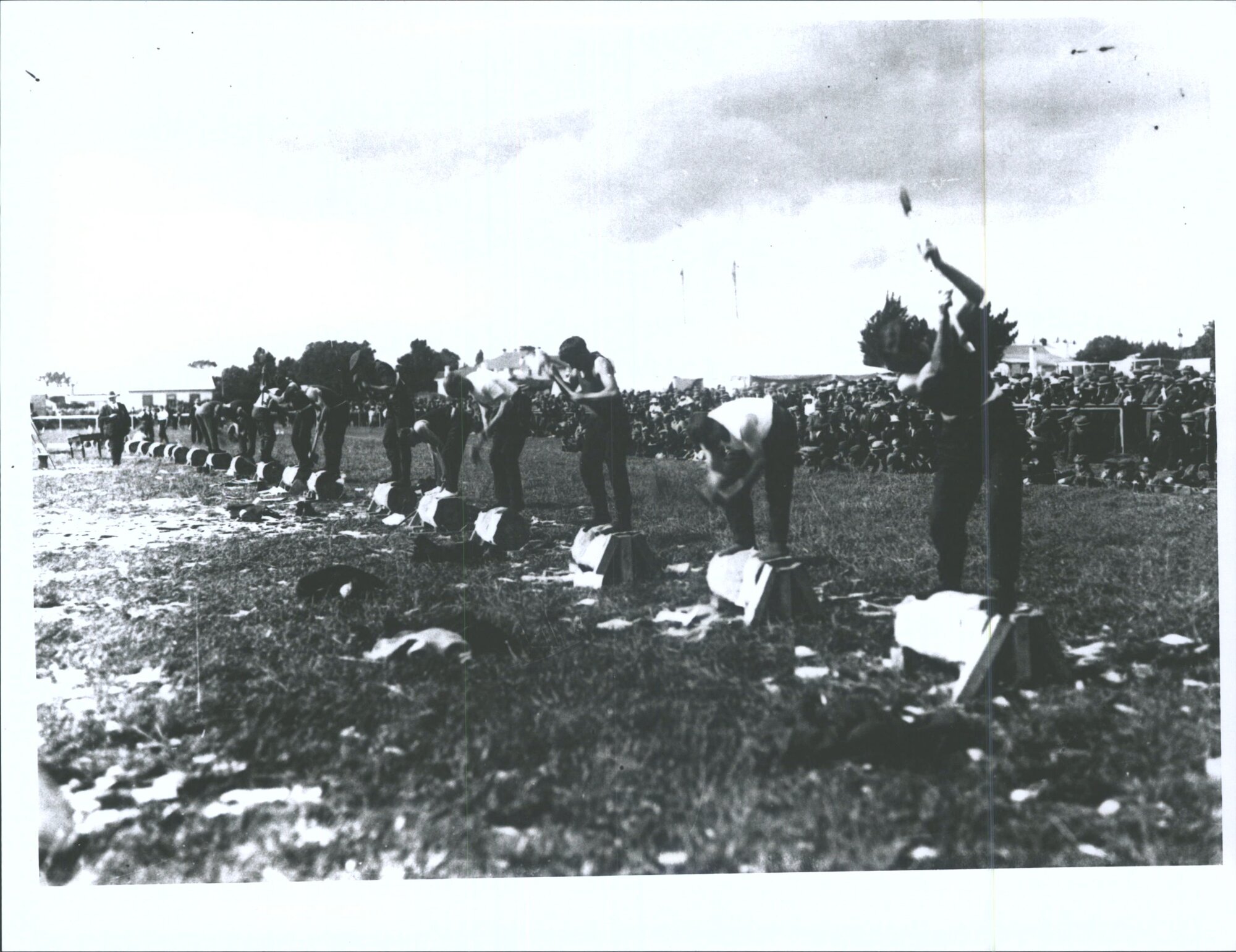 Recreational woodchopping