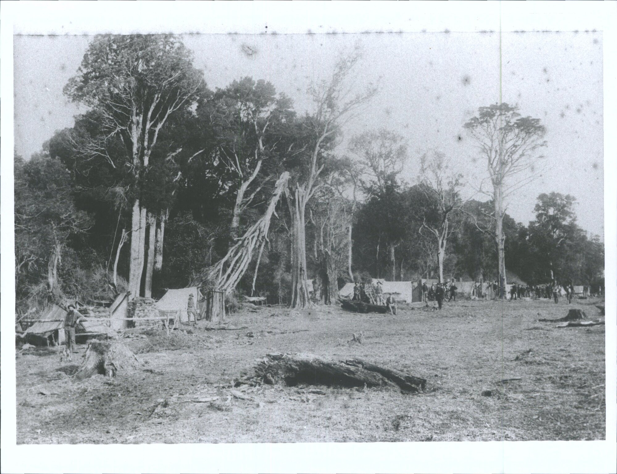 Photo of woodcutters