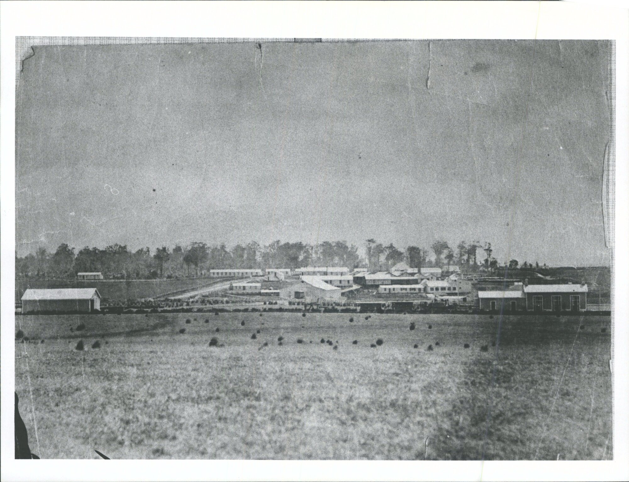 Meat preserving works