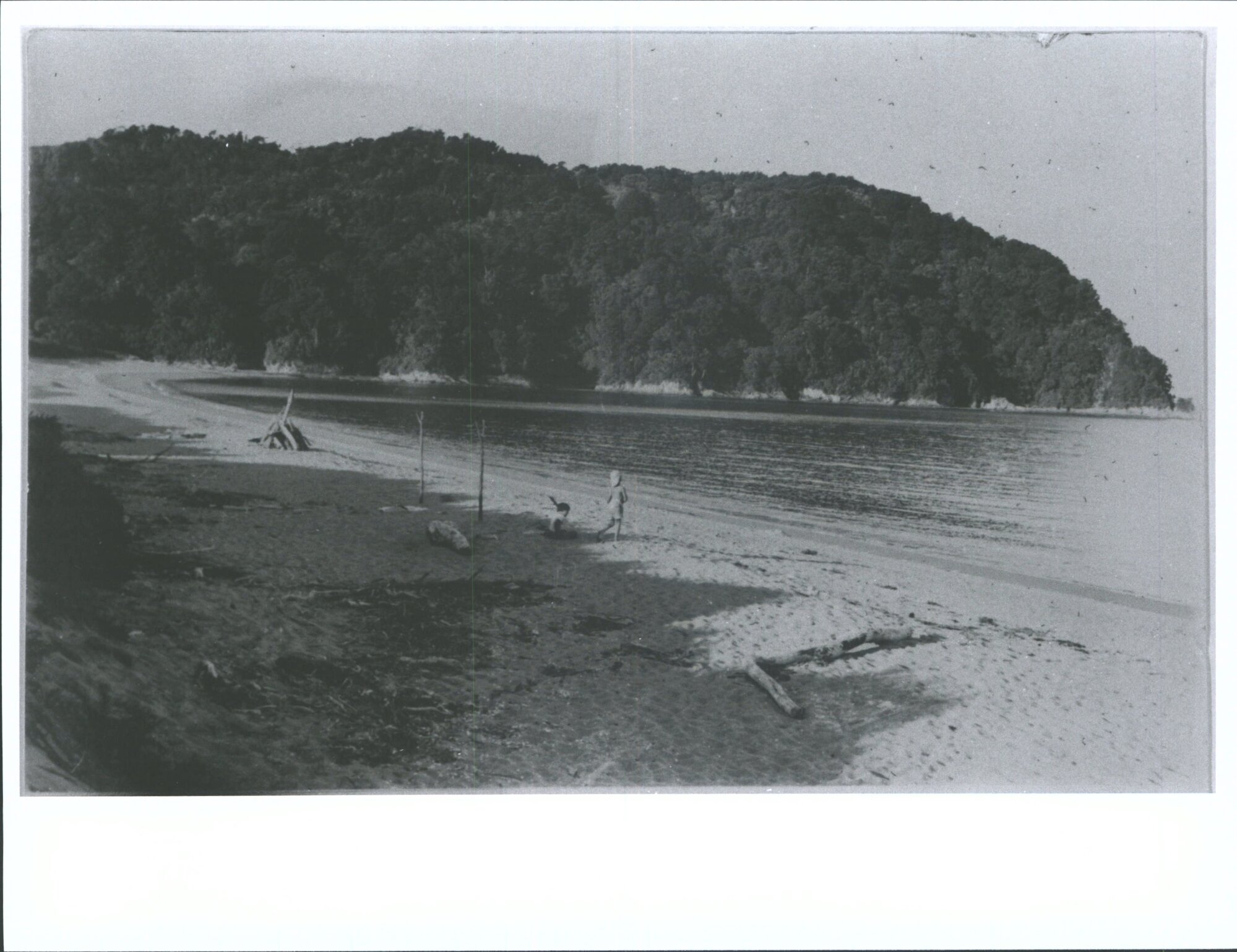 Totaranui, Looking North to Headland