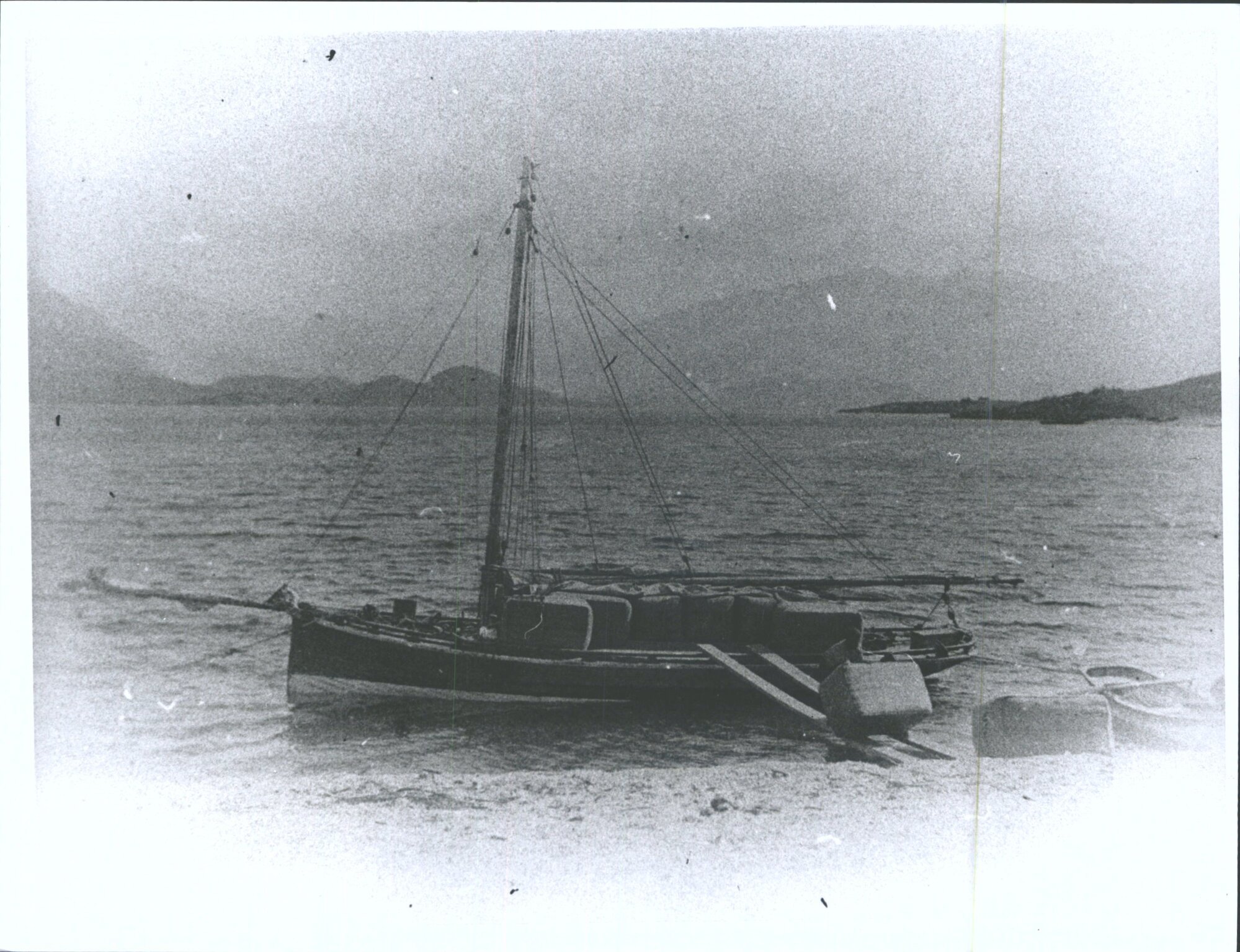 Loading Wool, Lake Wanaka