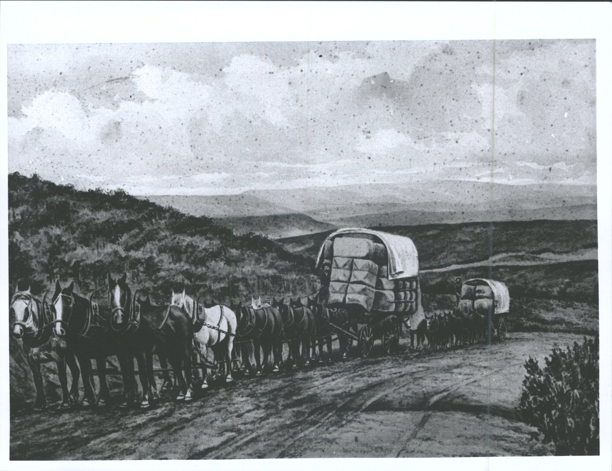 Woolwagons on the Pigroot