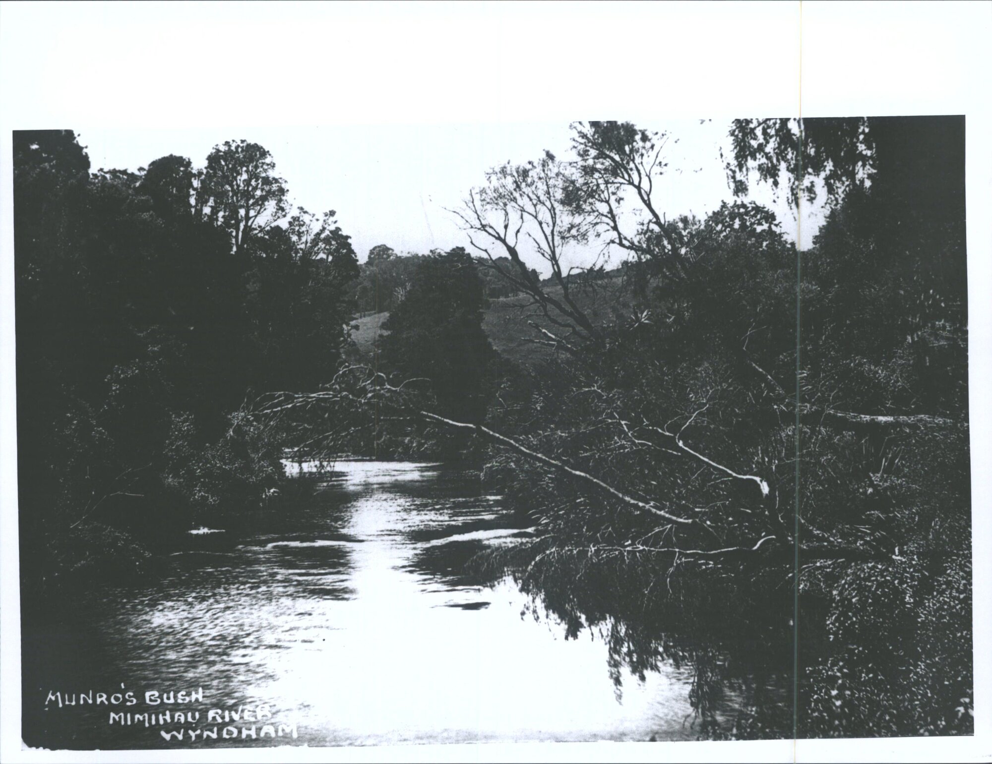 Munro's Bush, Mimihau River, Wyndham