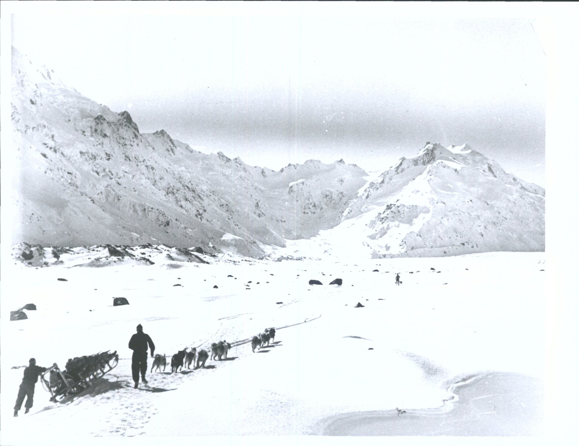 Sled team on the Tasman Glacier