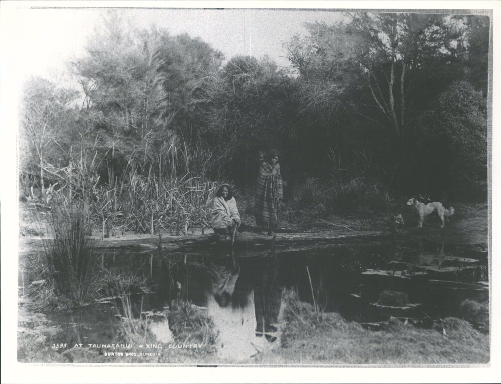 At Taumarunui, King Country