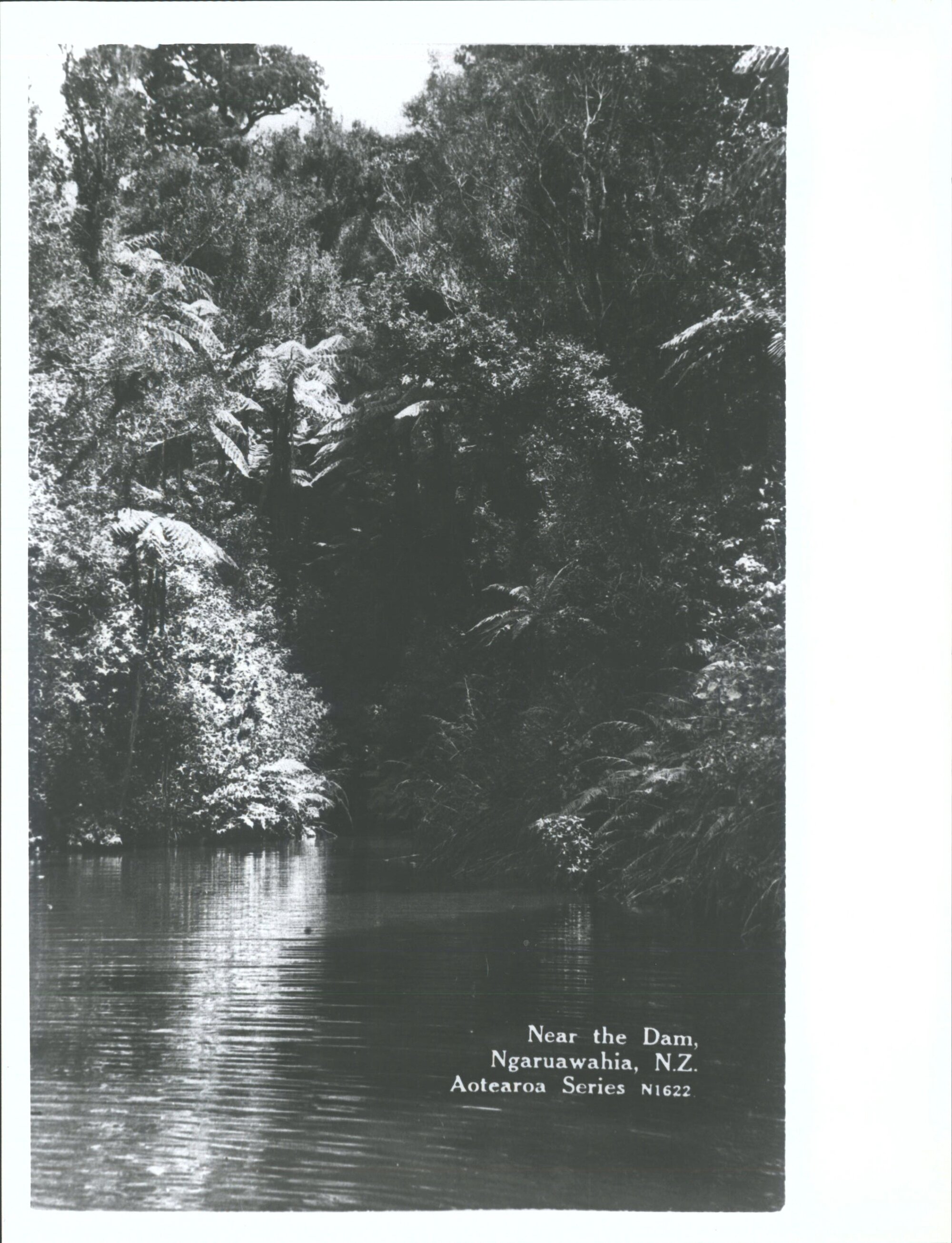 Near the Dam, Ngaruawahia, N.Z.