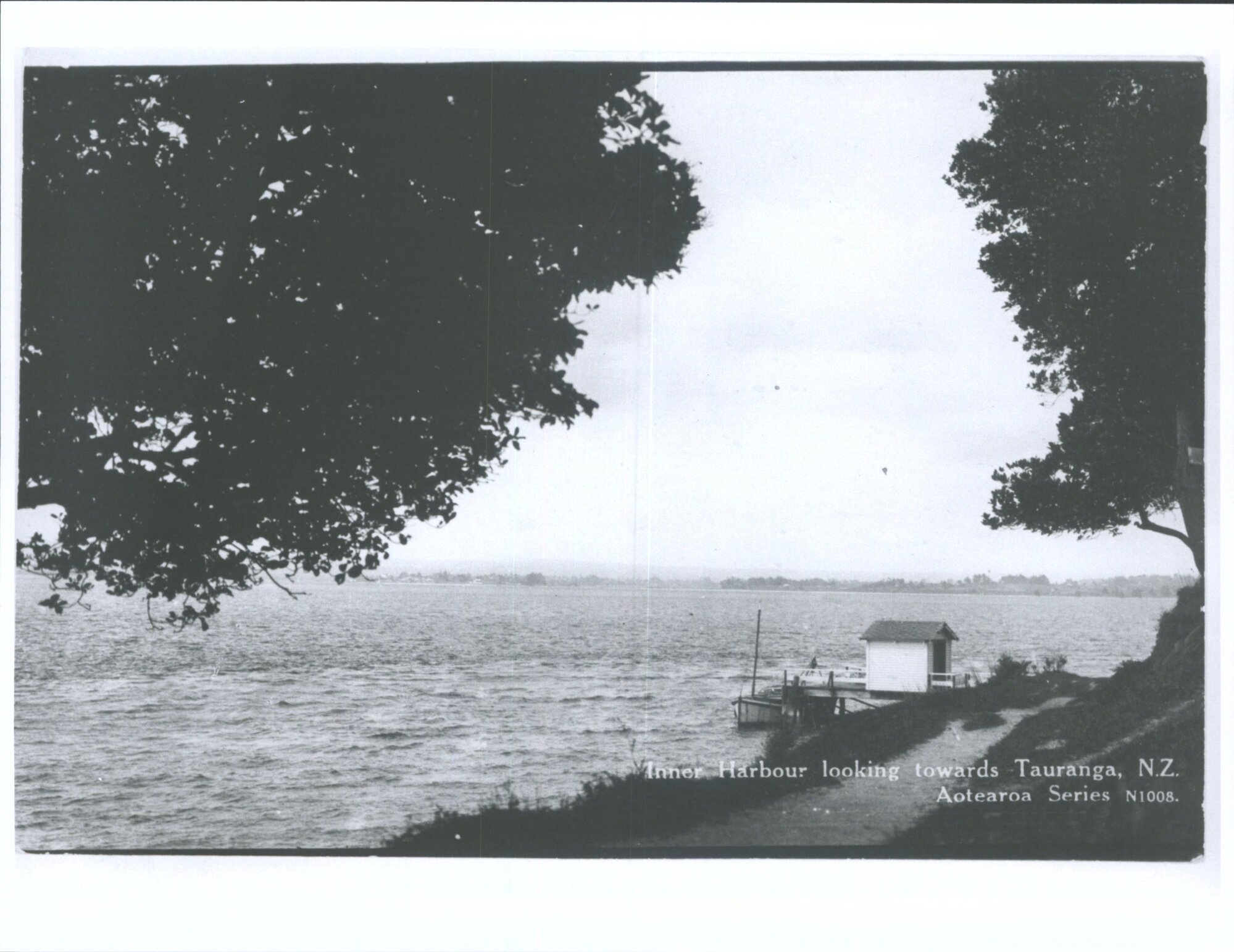 Inner Harbour looking towards Tauranga, N.Z.