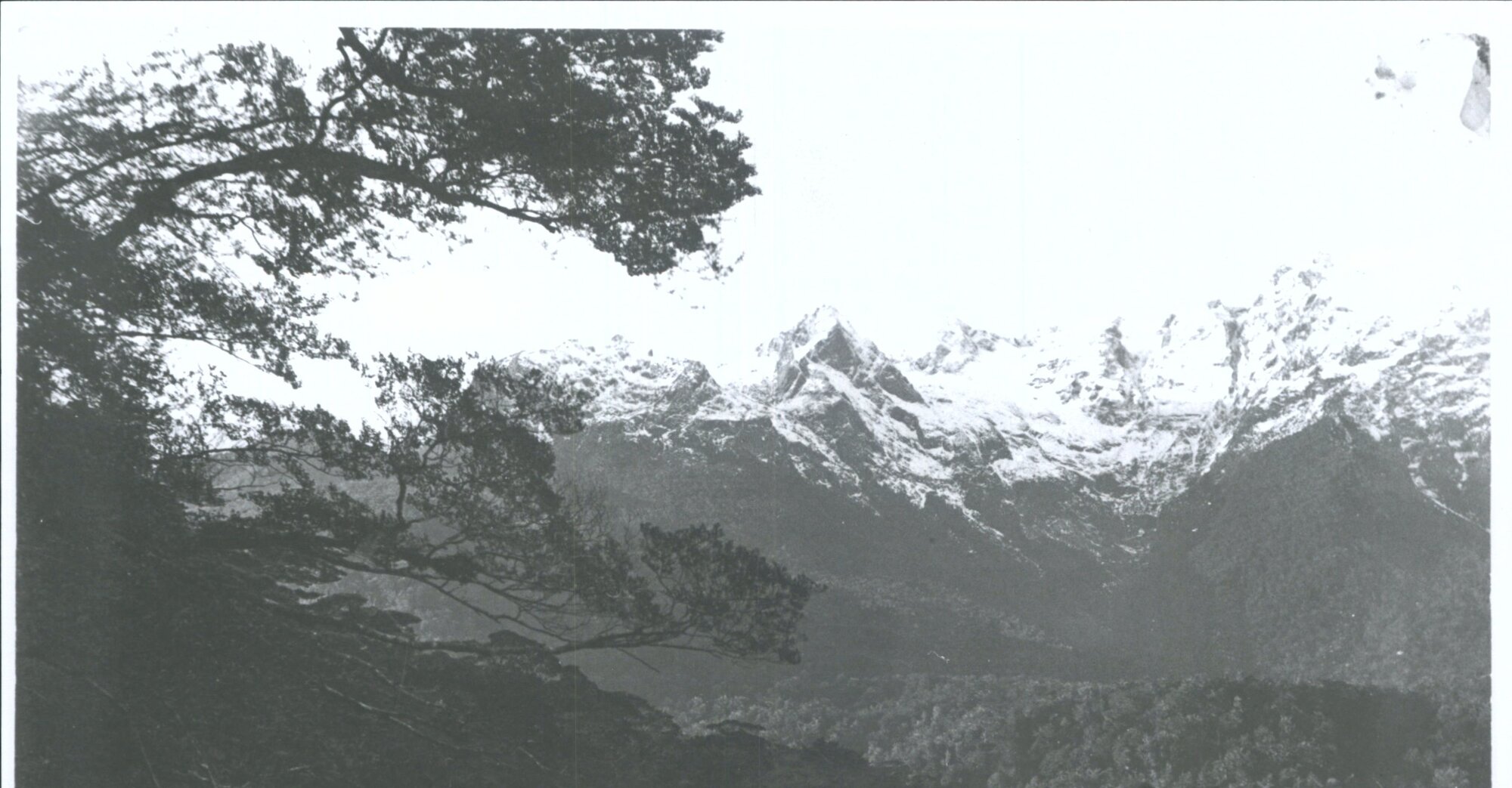 Howitt Peaks, Head of N.W. Arm, Middle Fjord, Lake Te Anau