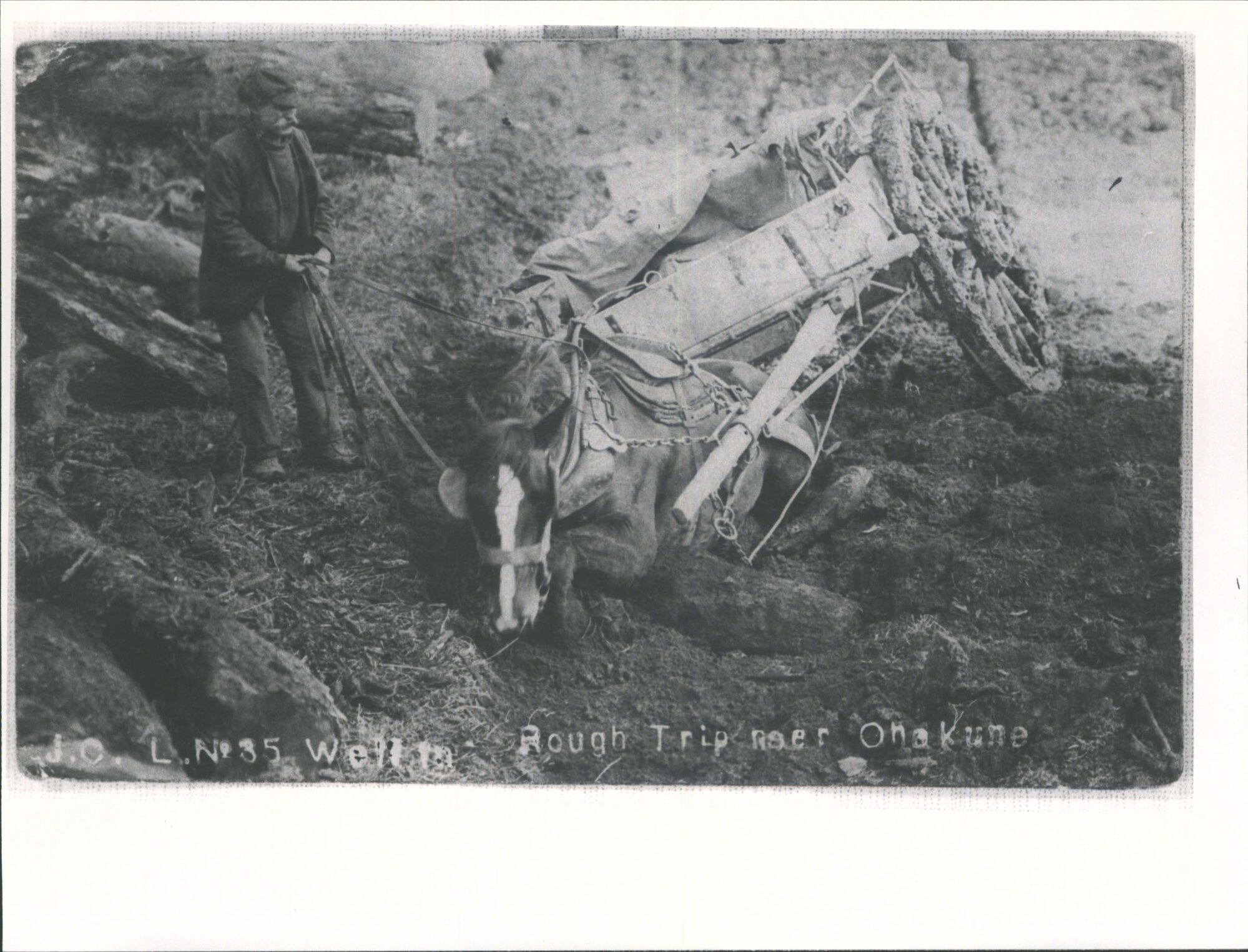 Rough trip near Ohakune'