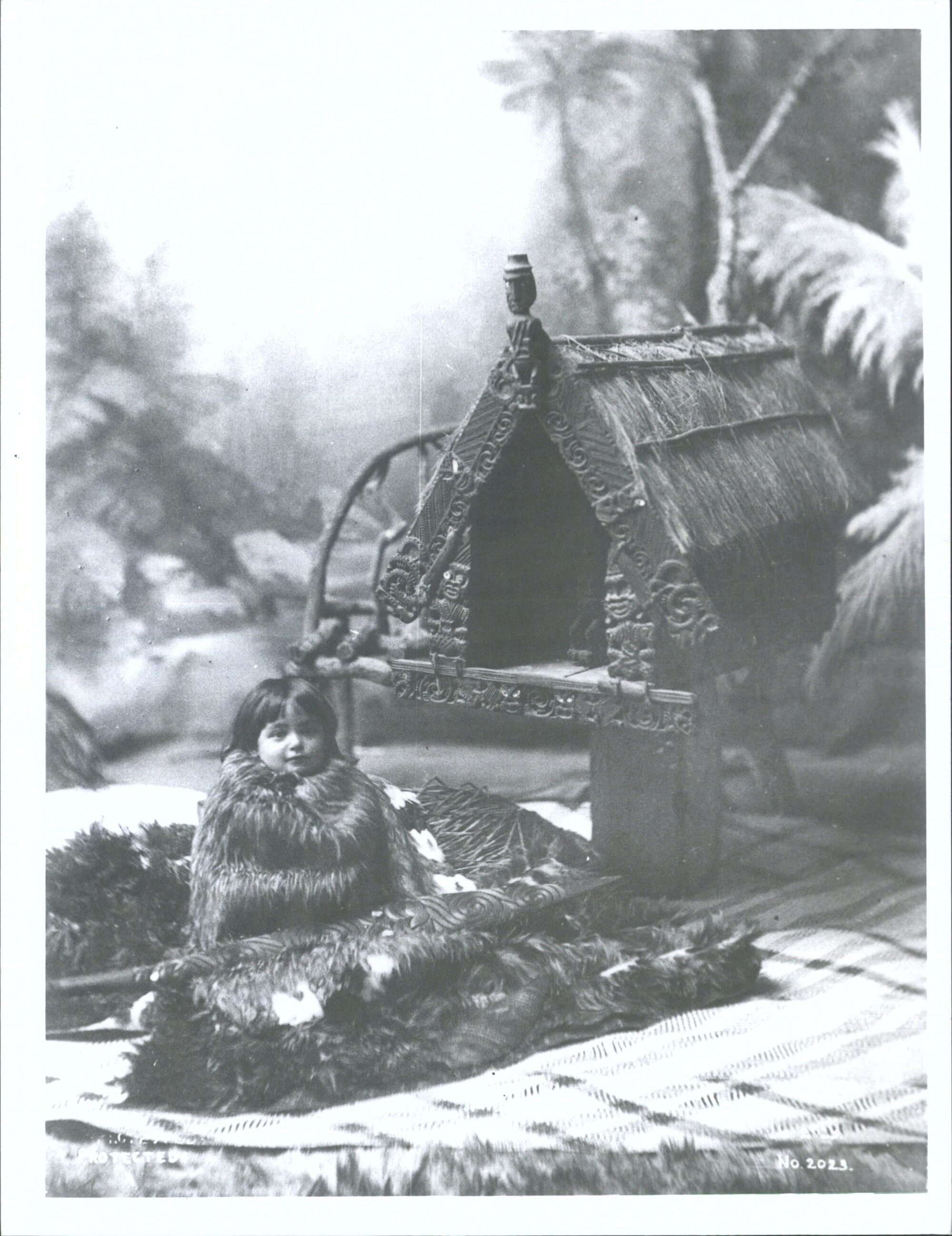 Maori Portraits: Unidentified Child