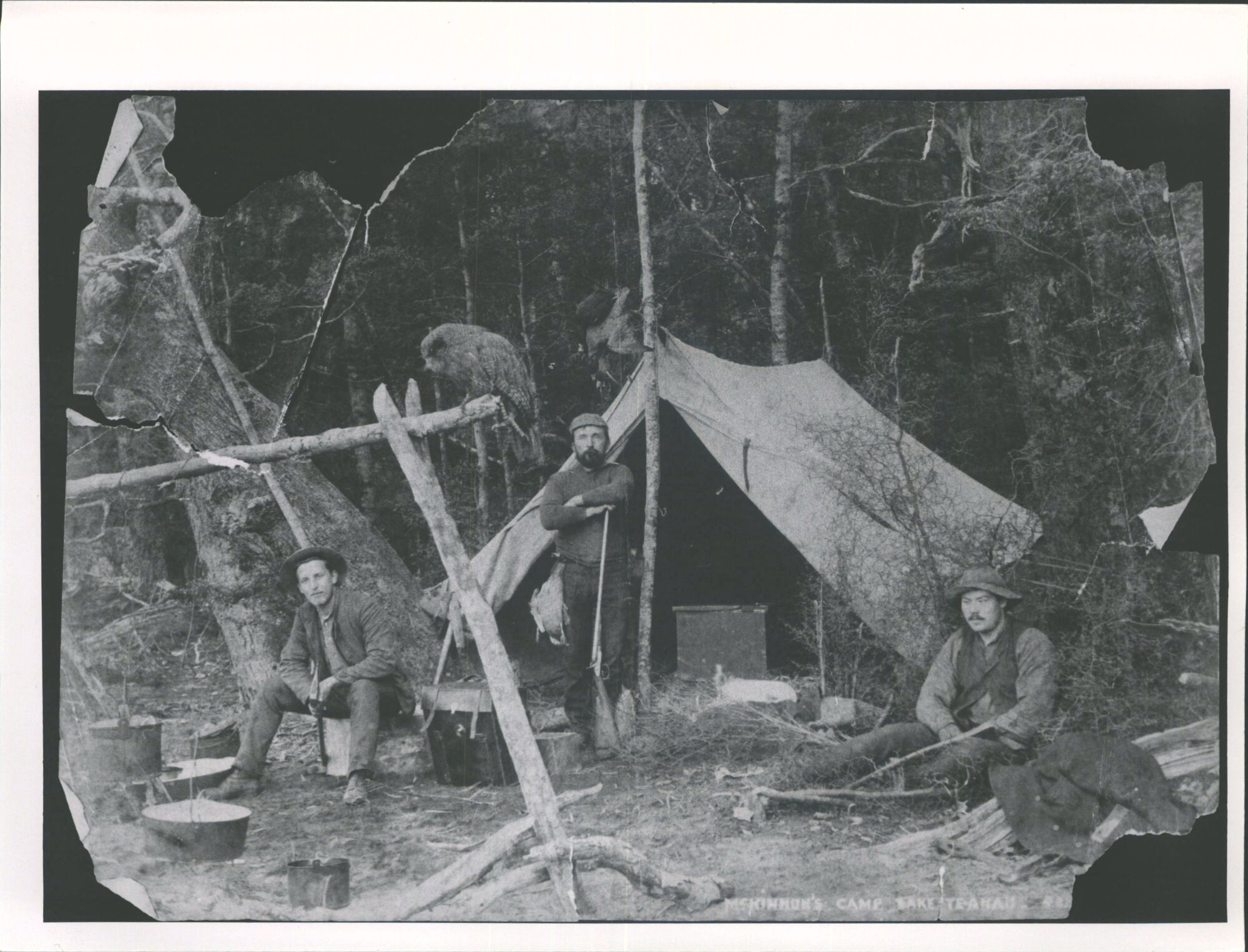 MacKinnon's Camp, Lake Te Anau