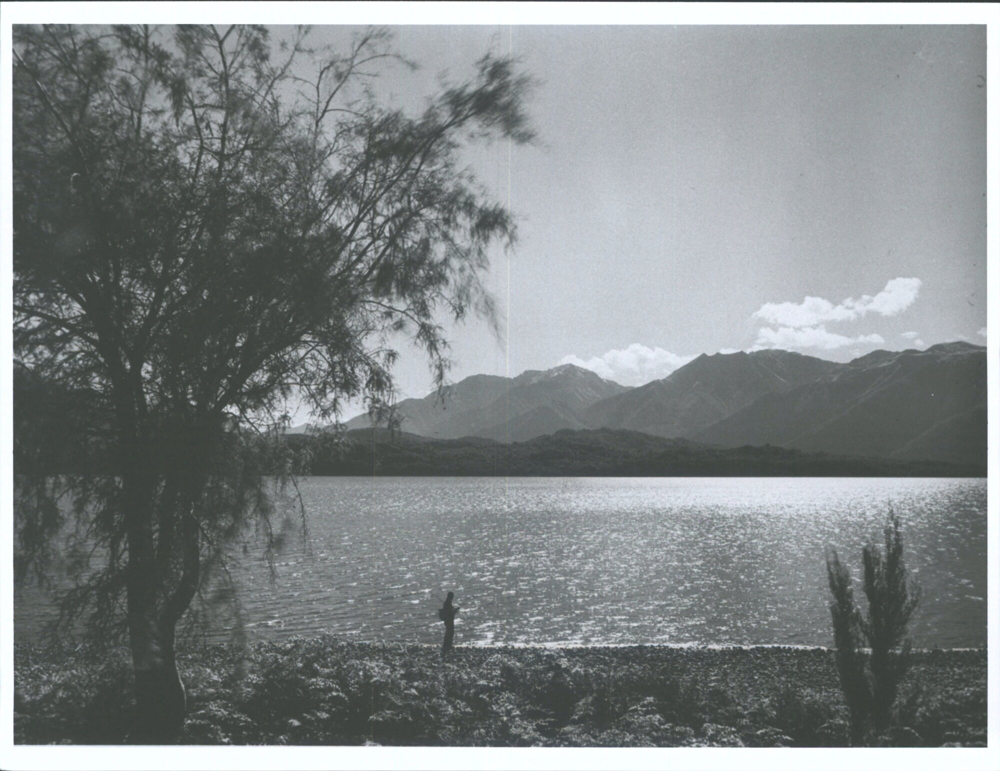Unidentified person on beach of Lake Te Anau