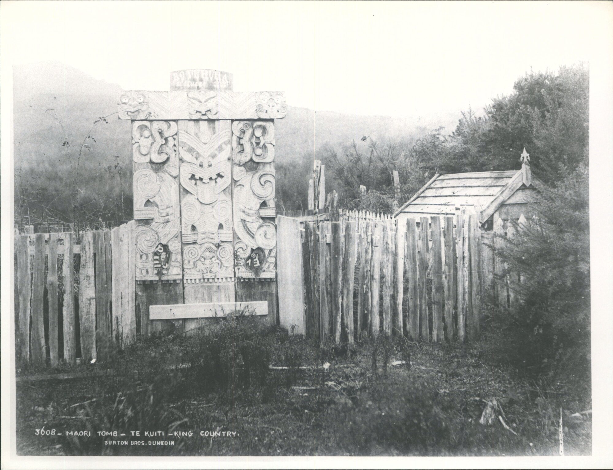 Maori Tomb, Te Kuiti, King Country