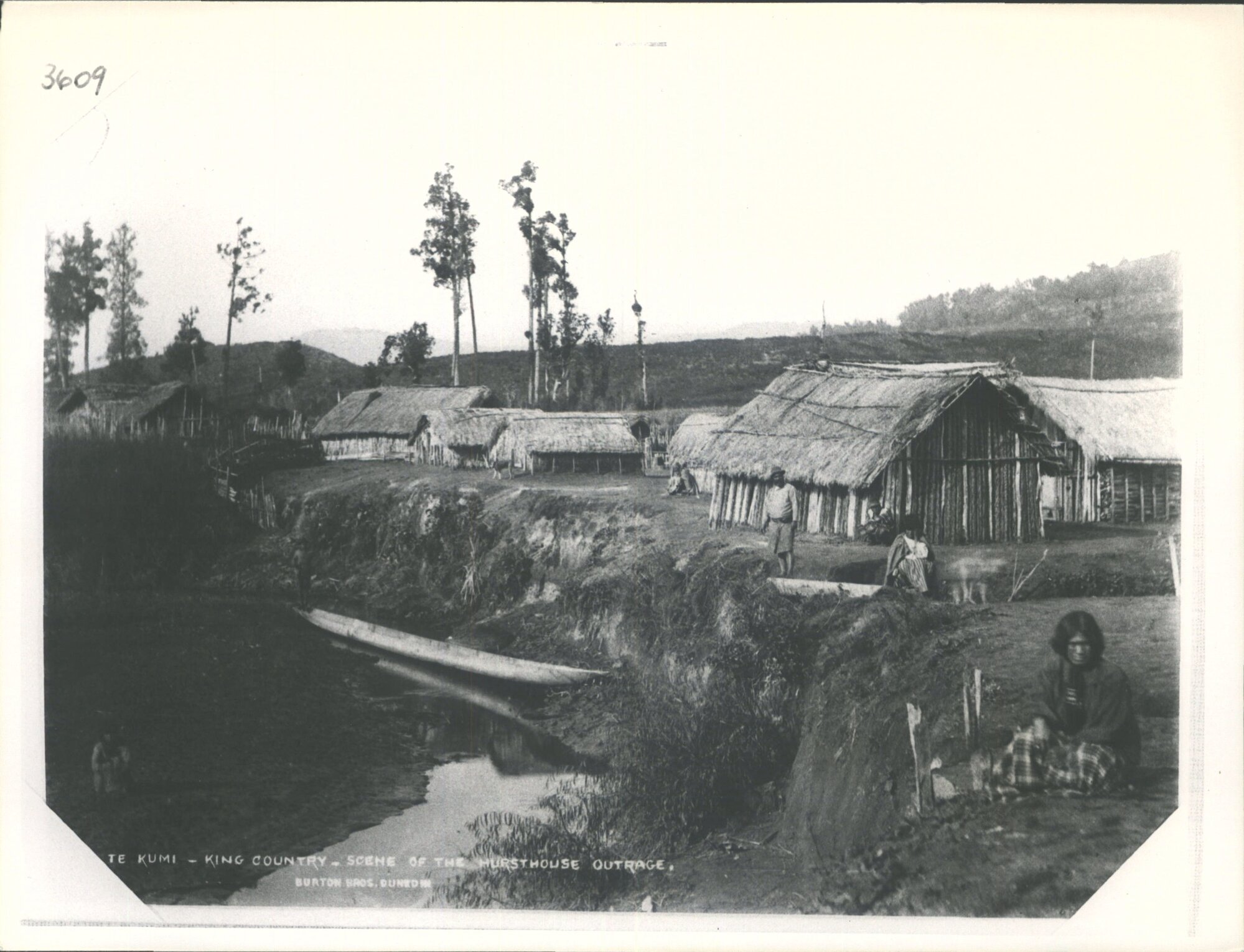 Te Kumi, King Country - Scene of the Hursthouse Outrage