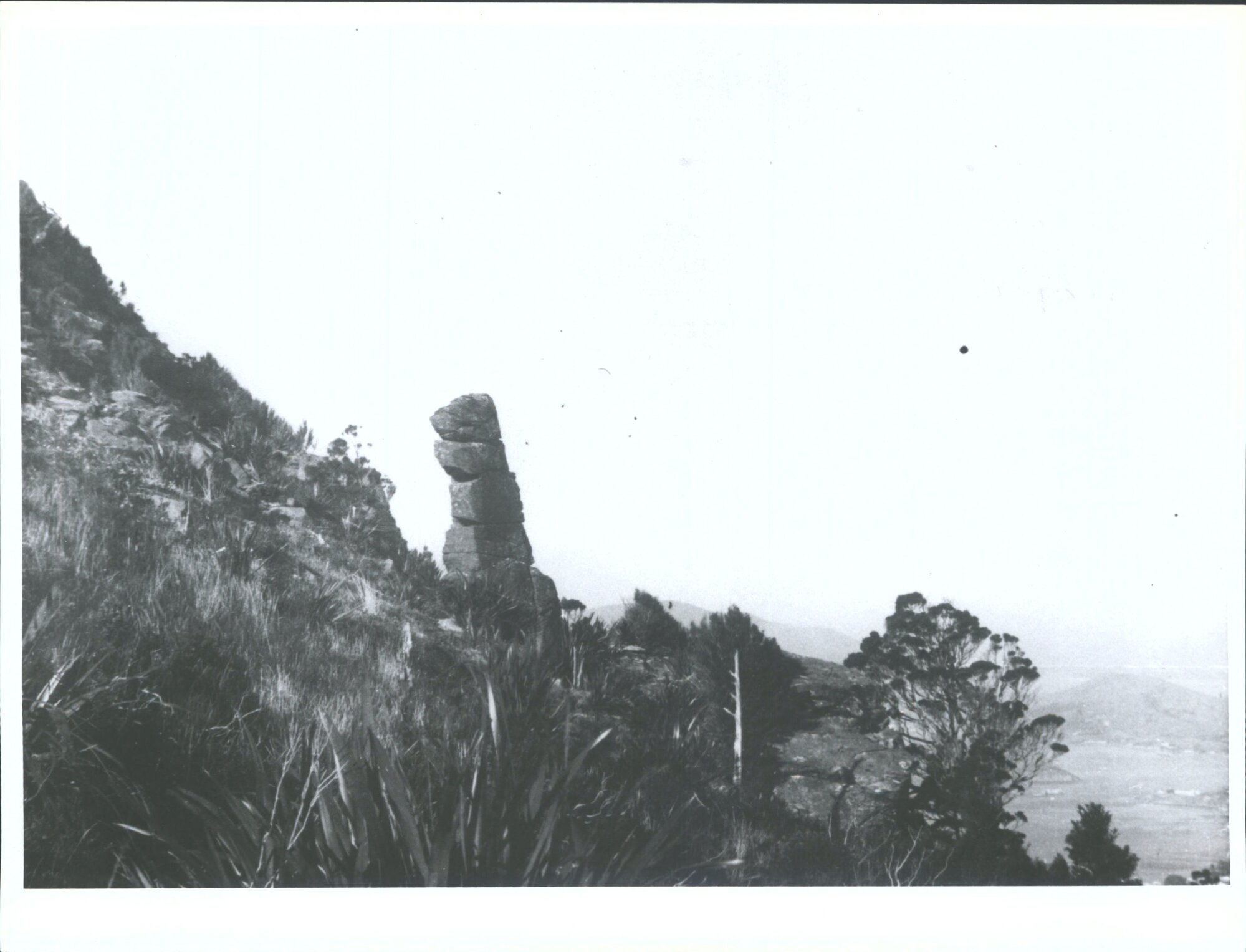 en route Pt Chalmers - Waitati