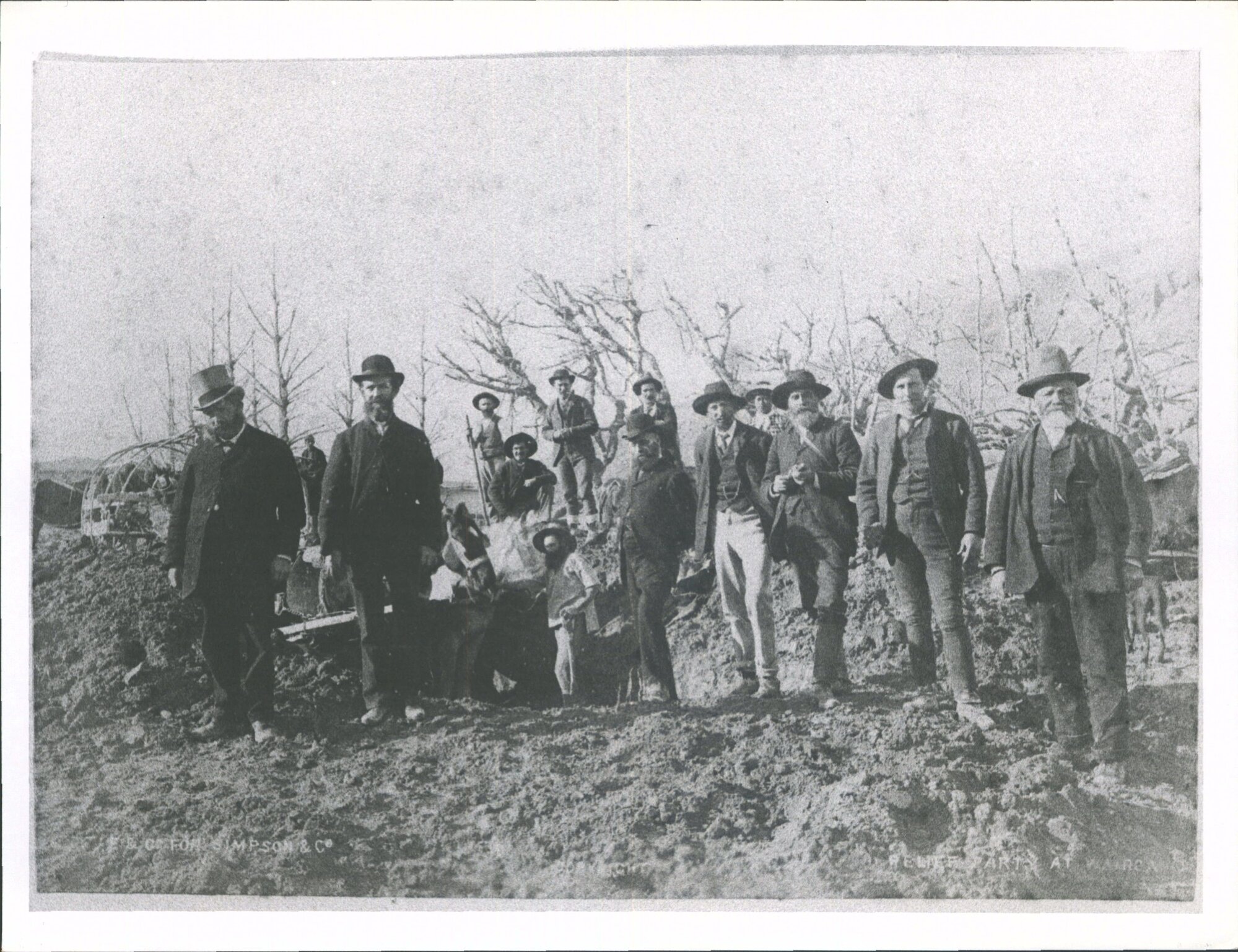 Relief Party at Te Wairoa