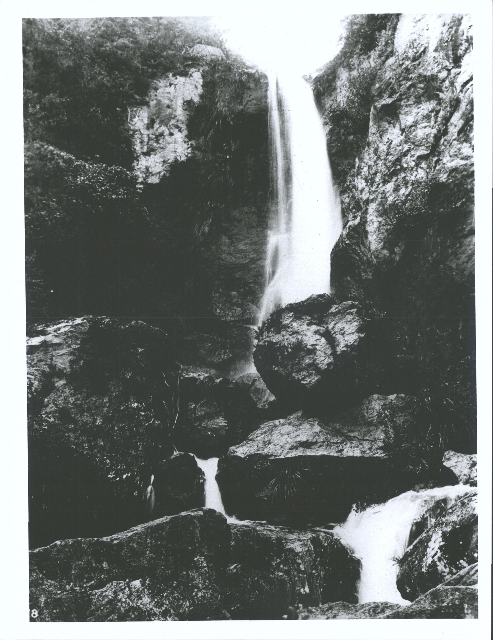 Te Wairoa Falls, near Lake Tarawera, in the thermal region