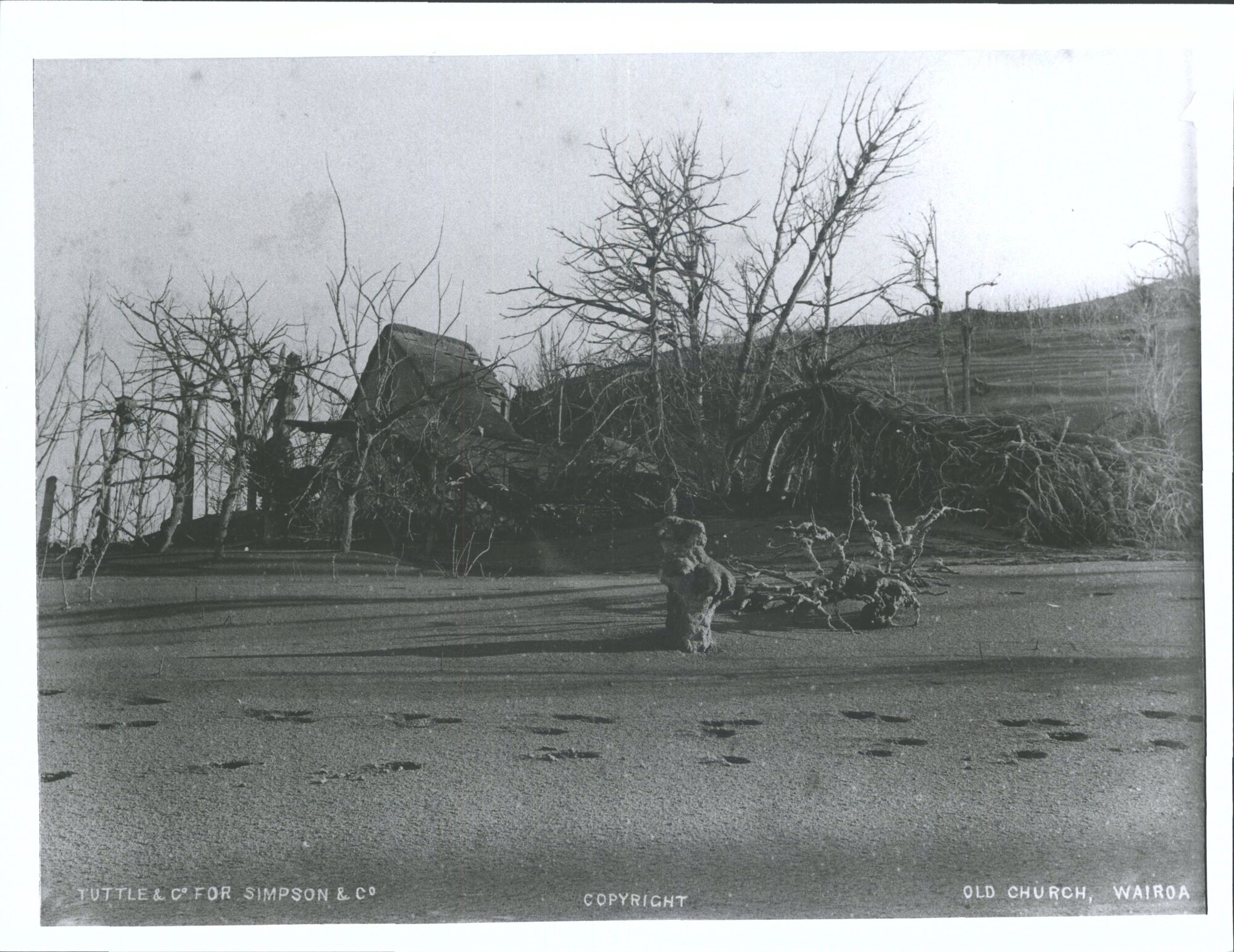Old Church, Te Wairoa, after Tarawera Eruption
