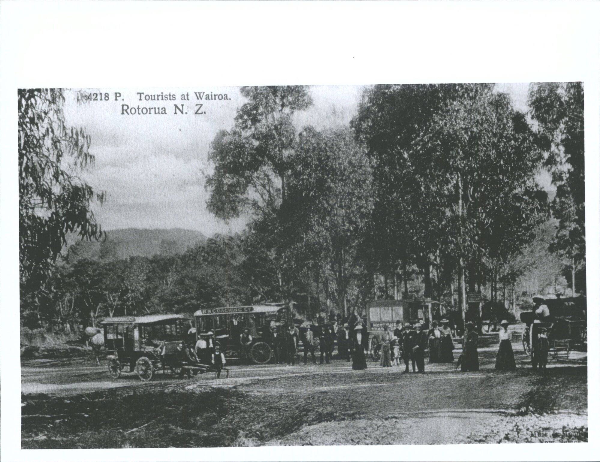 Tourists at Wairoa, Rotorua, N.Z.