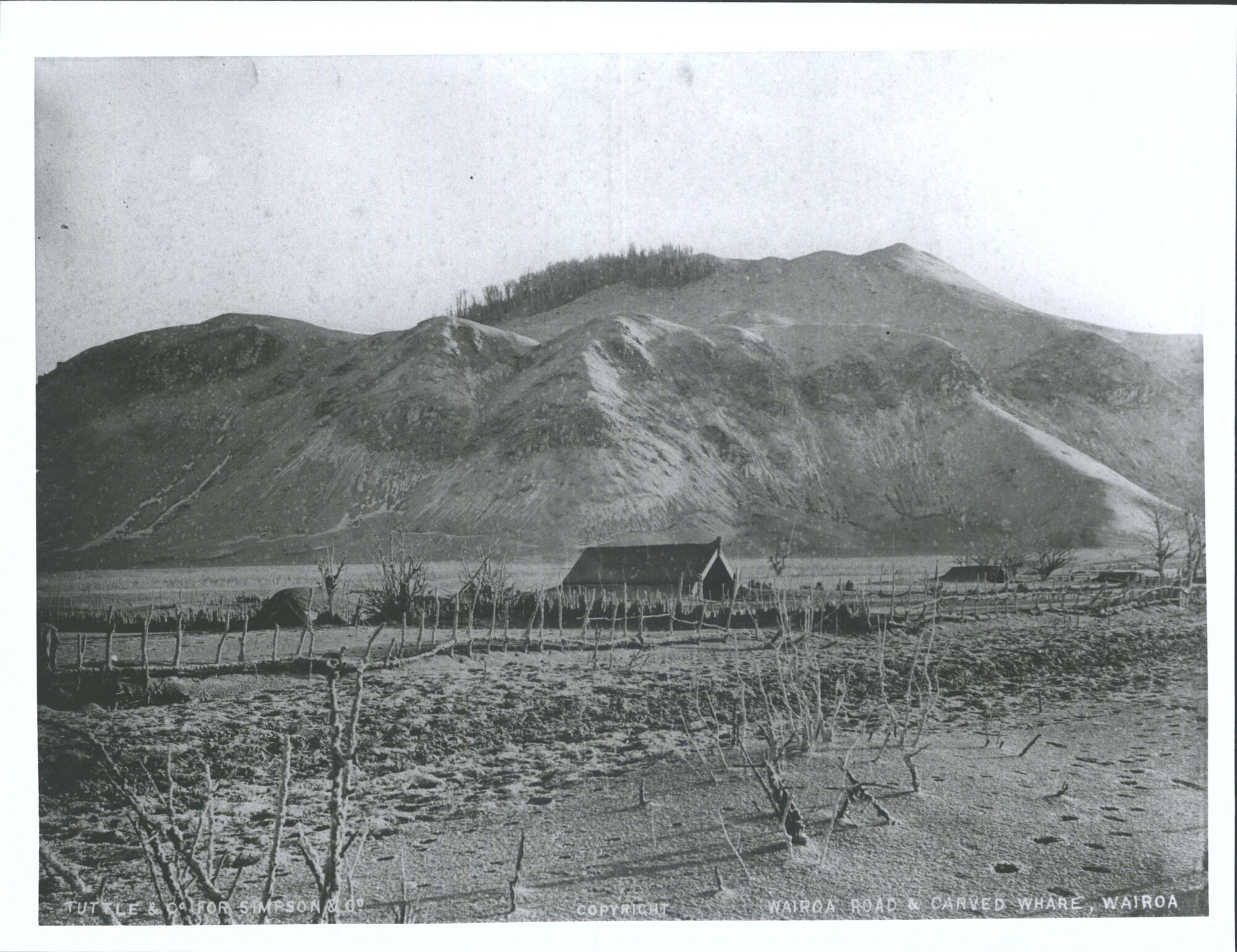 Wairoa Road and Carved Whare, Wairoa, after Tarawera Eruption