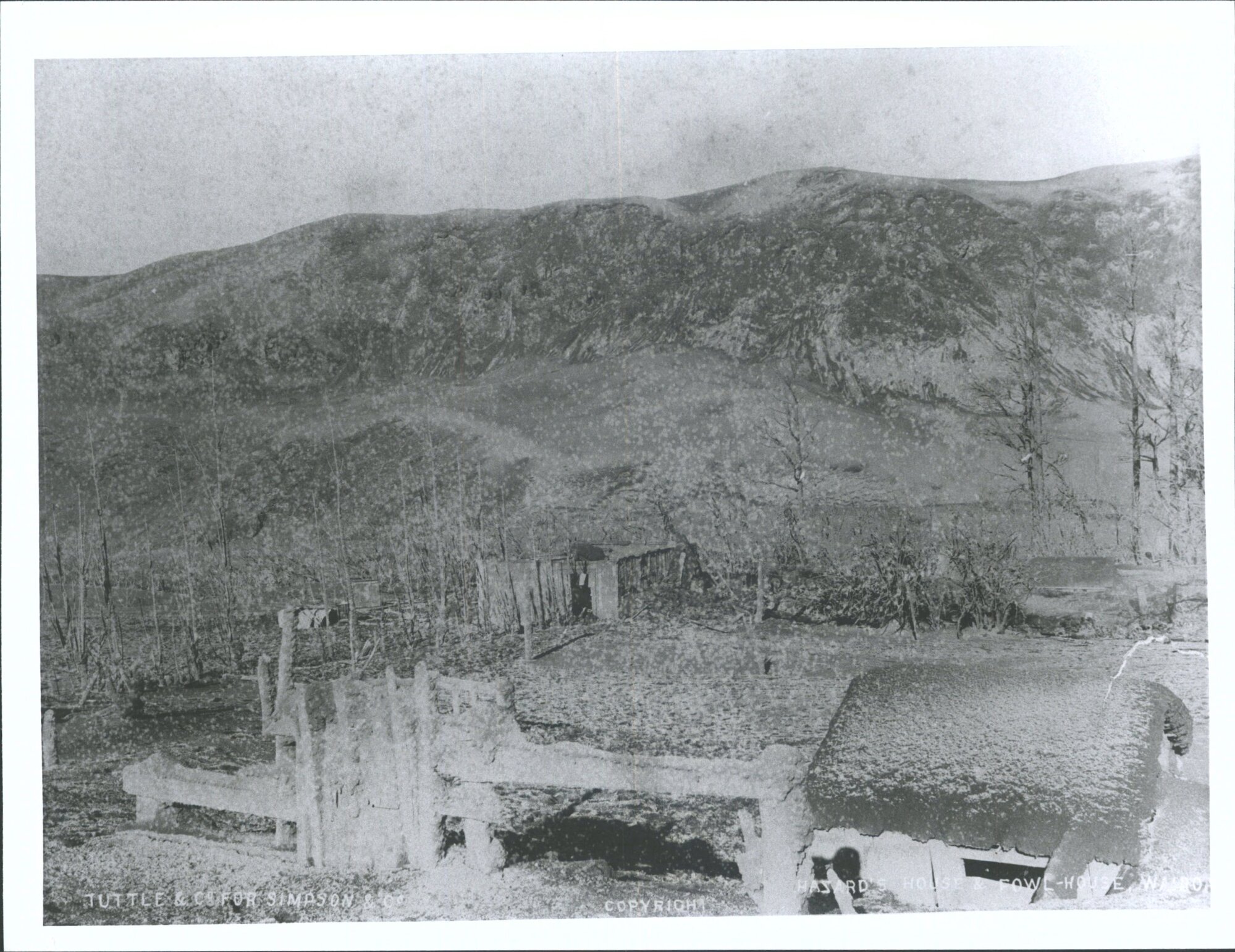 Hazards House and Fowl-House, Te Wairoa, after Tarawera Eruption