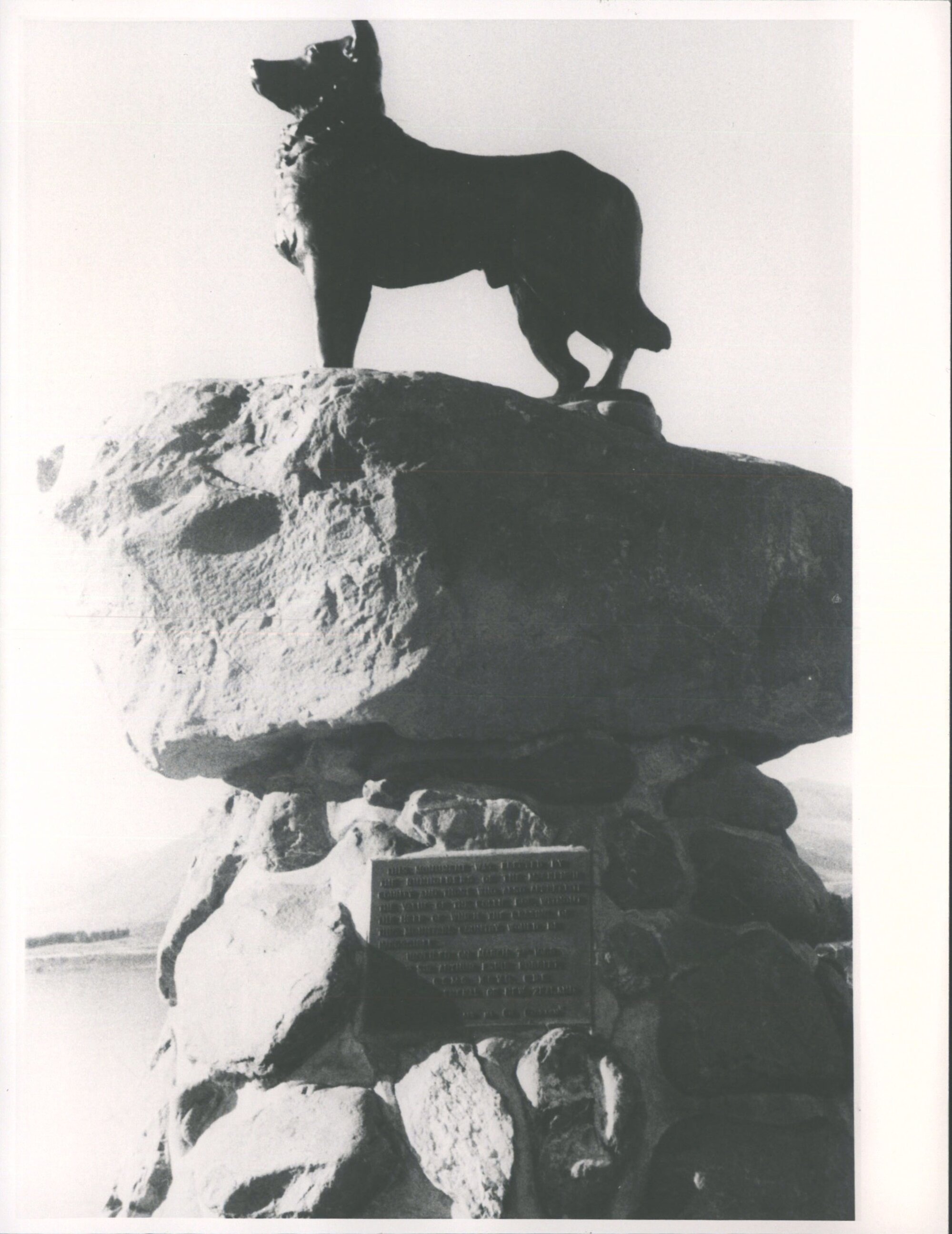 Bronze Sheepdog Statue