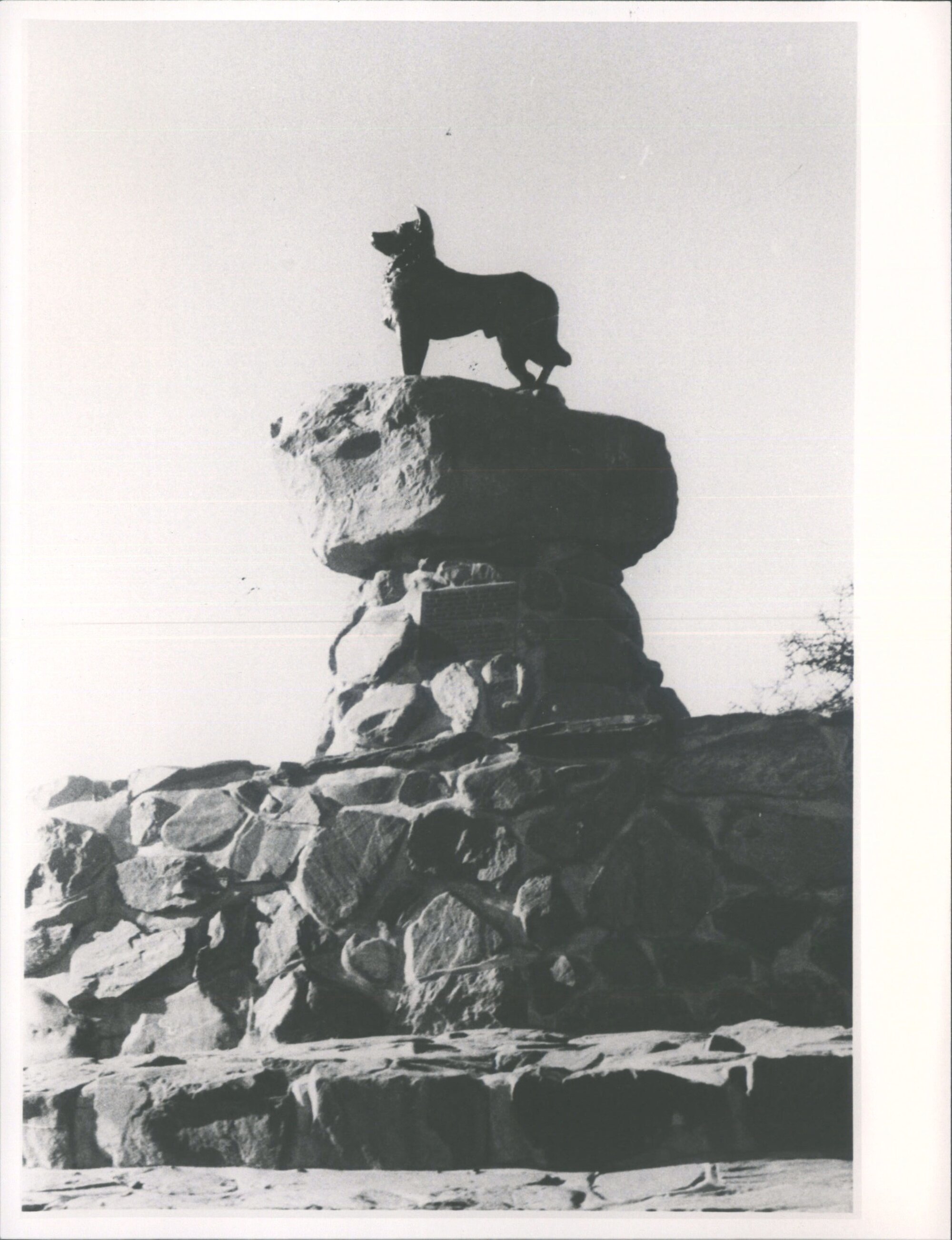 Bronze Sheepdog Statue