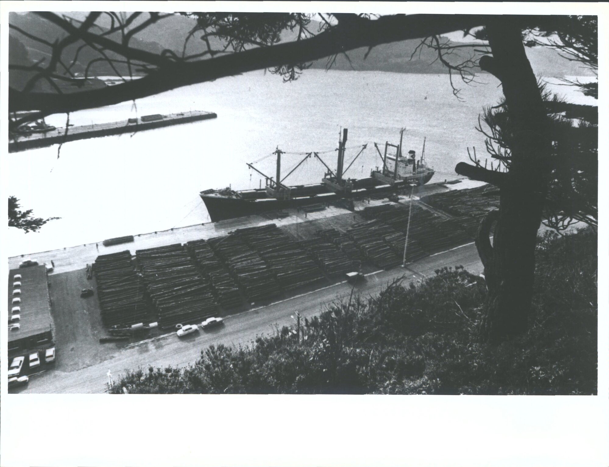 "A view of the Beach Street Wharf Port Chalmers showing the Stockpile of 6500 tons of logs"