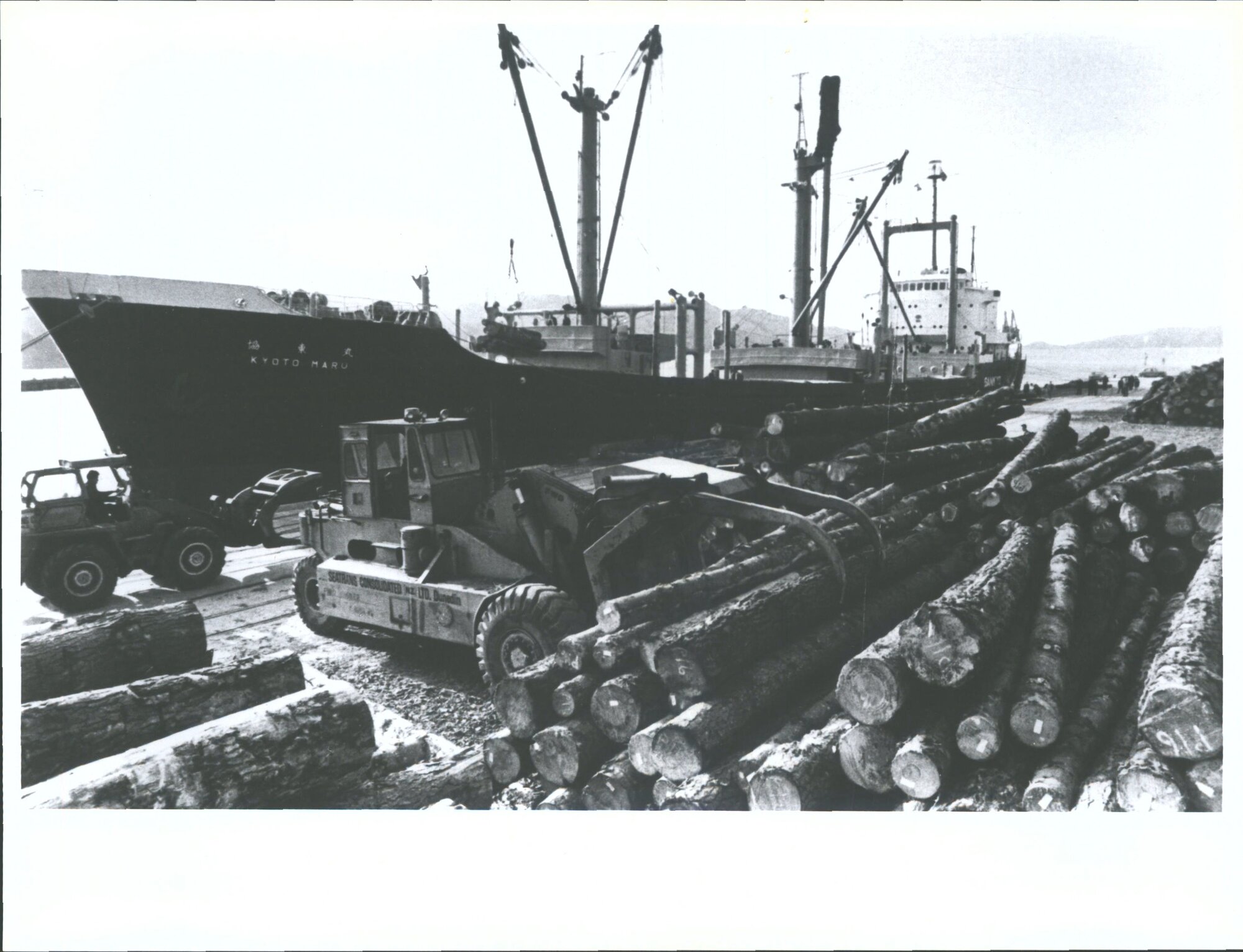 "A log-loading machine operated by Mr. Warren Green grips a bundle of State Forest logs from the stockpile to load on to the Jap