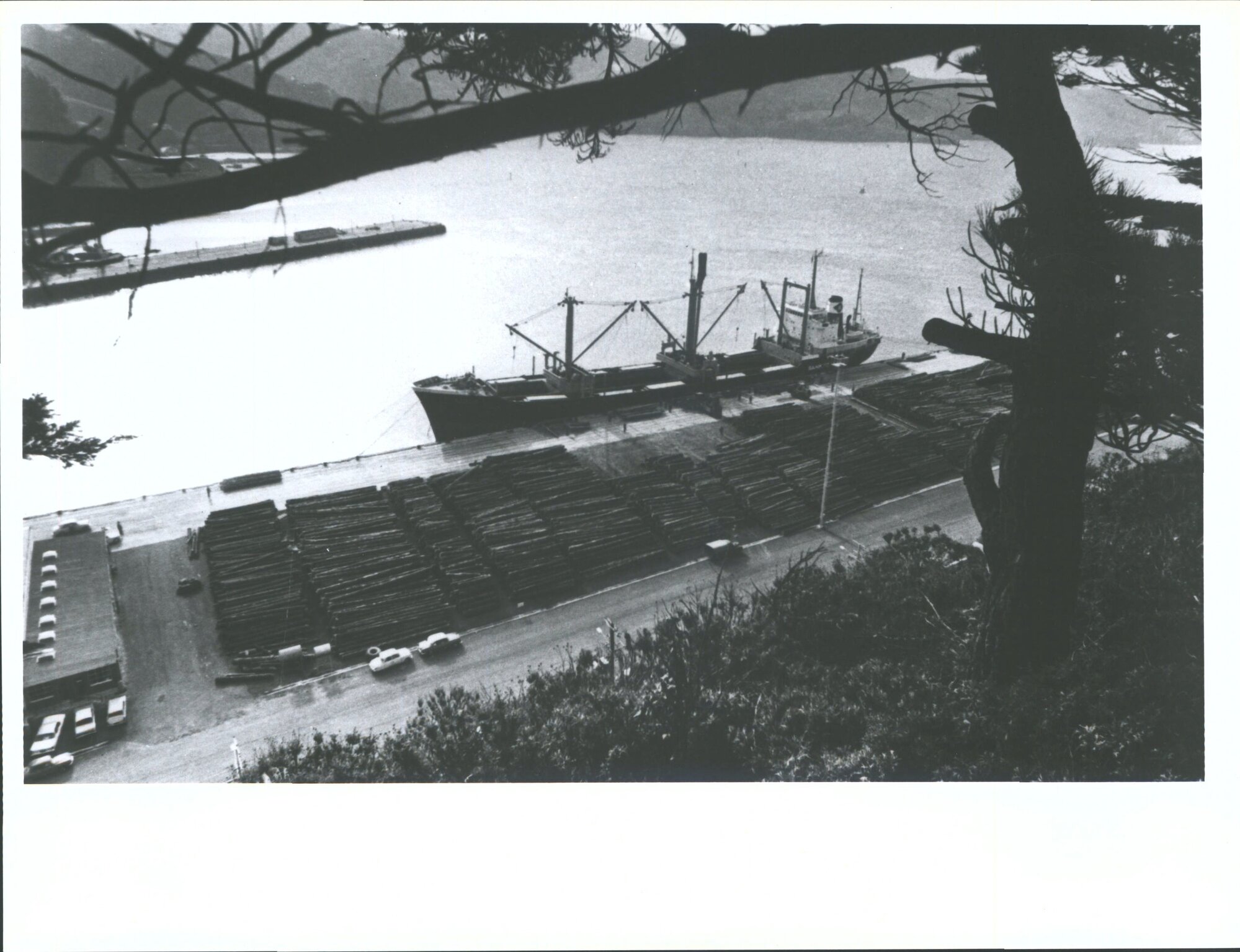 "A view of the Beach Street Wharf, Port Chalmers showing the stock pile of 6500 tons of logs"