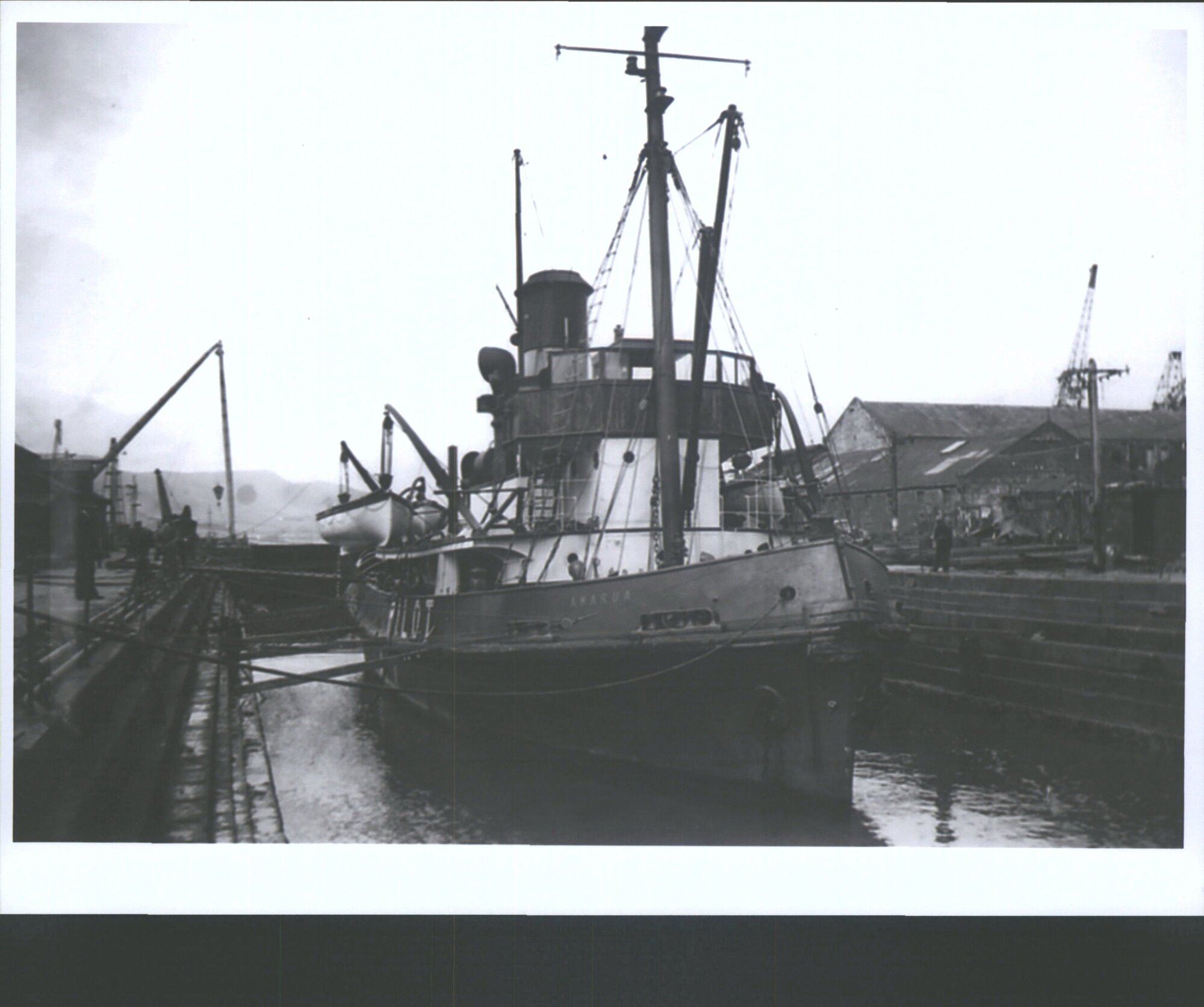 Awarua (4)