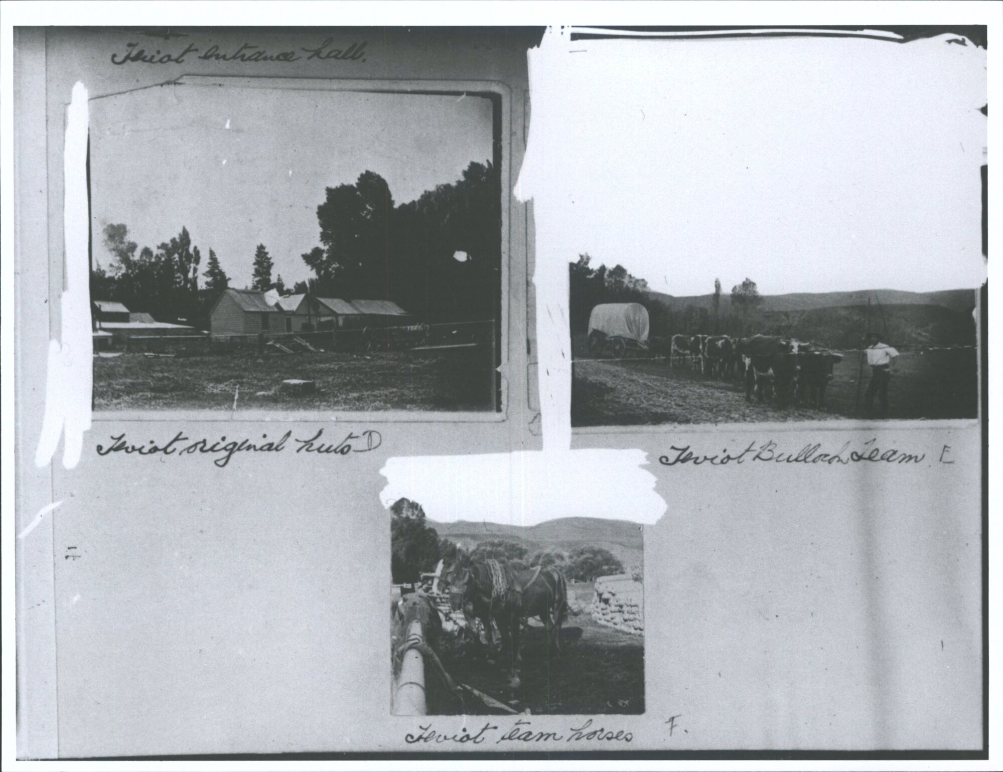 Teviot Original Huts, Teviot Bullock Team, Teviot Team Horses