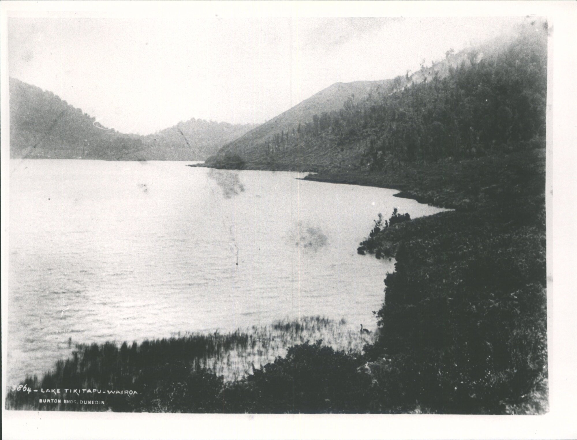 Lake Tikitapu (Blue Lake)