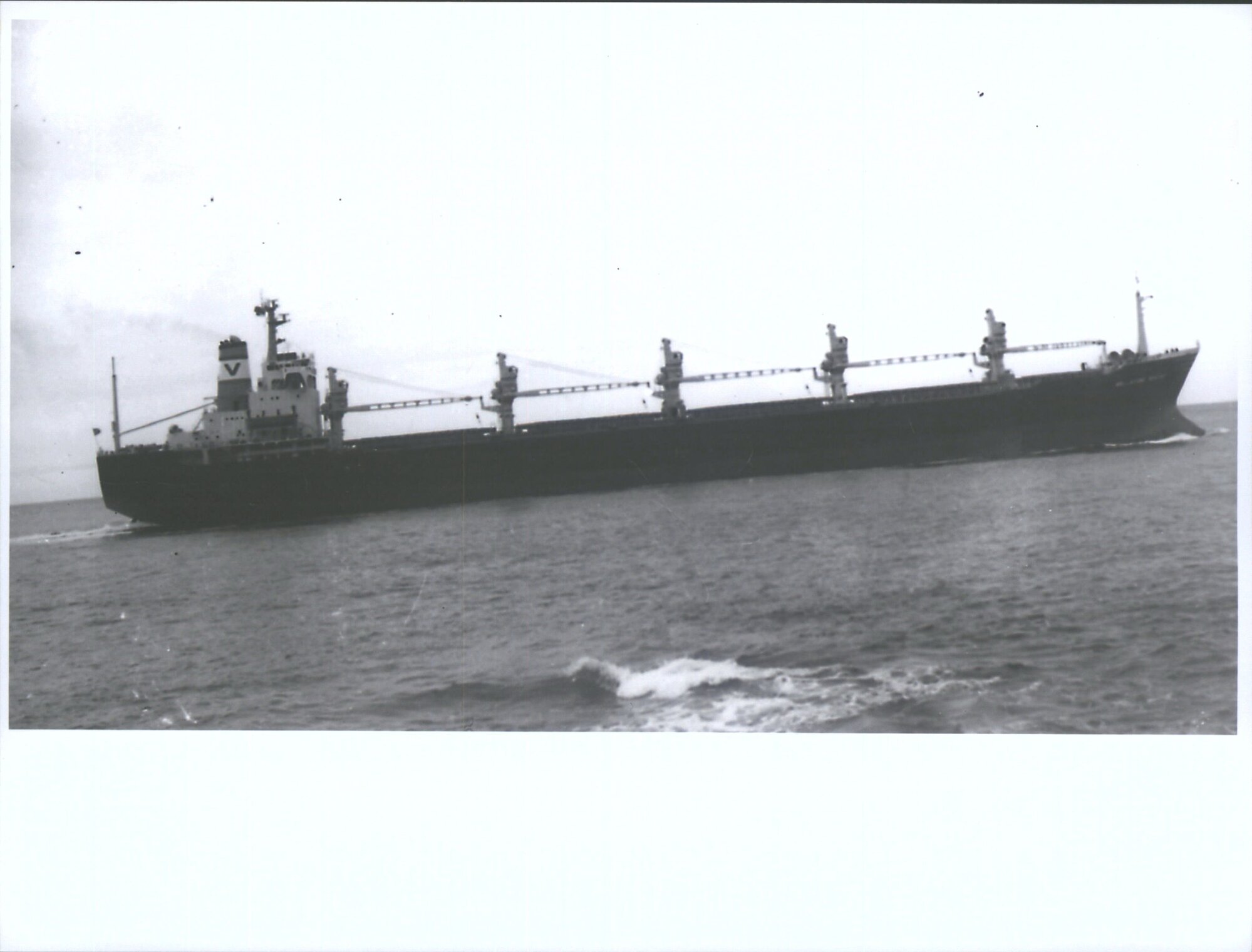 BELLADONA VENTURE (1)