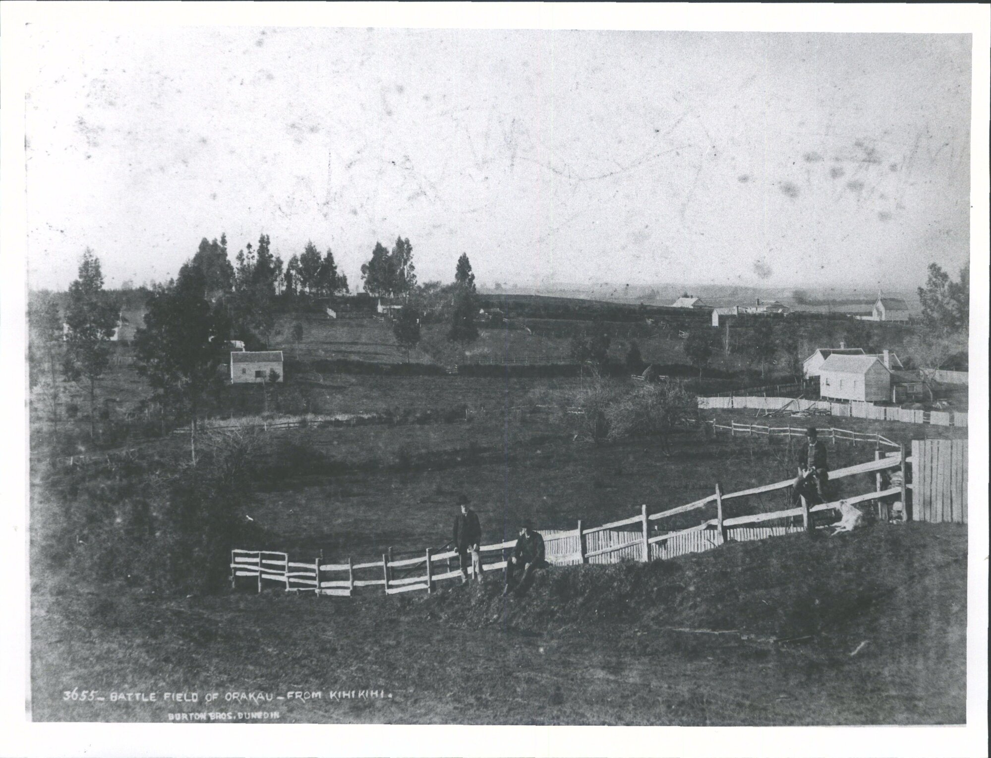 Battlefield from Kihikihi