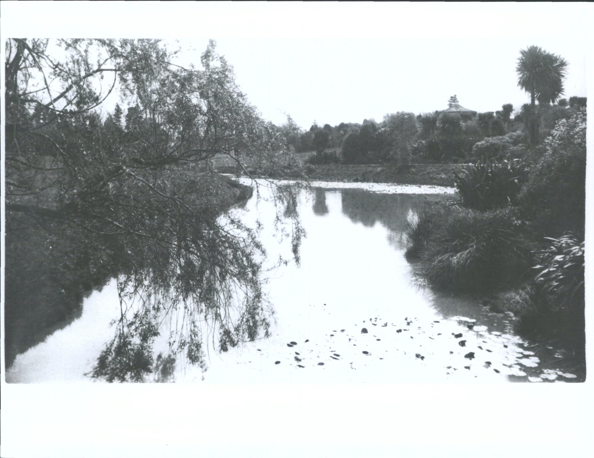 Pond at Timaru Park