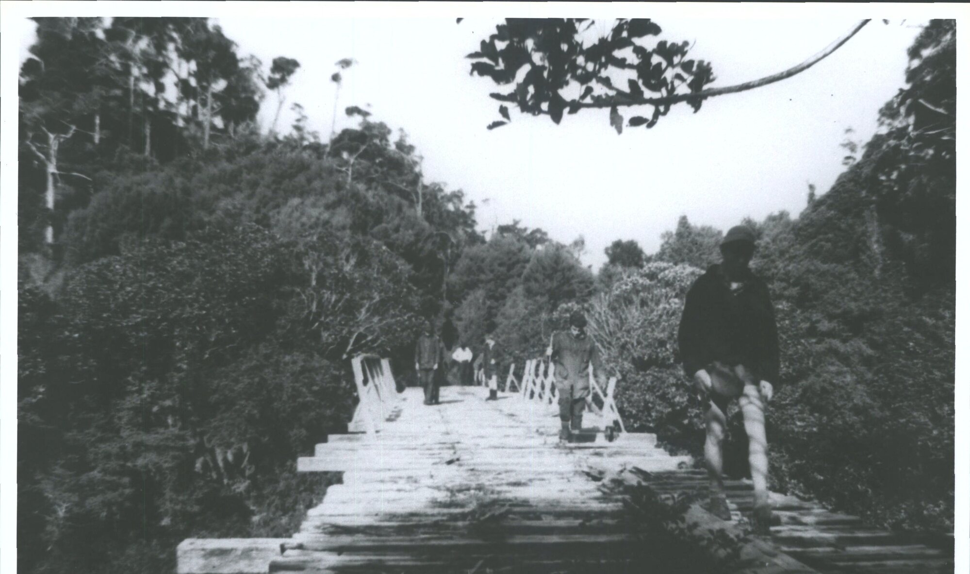 Viaduct on log line