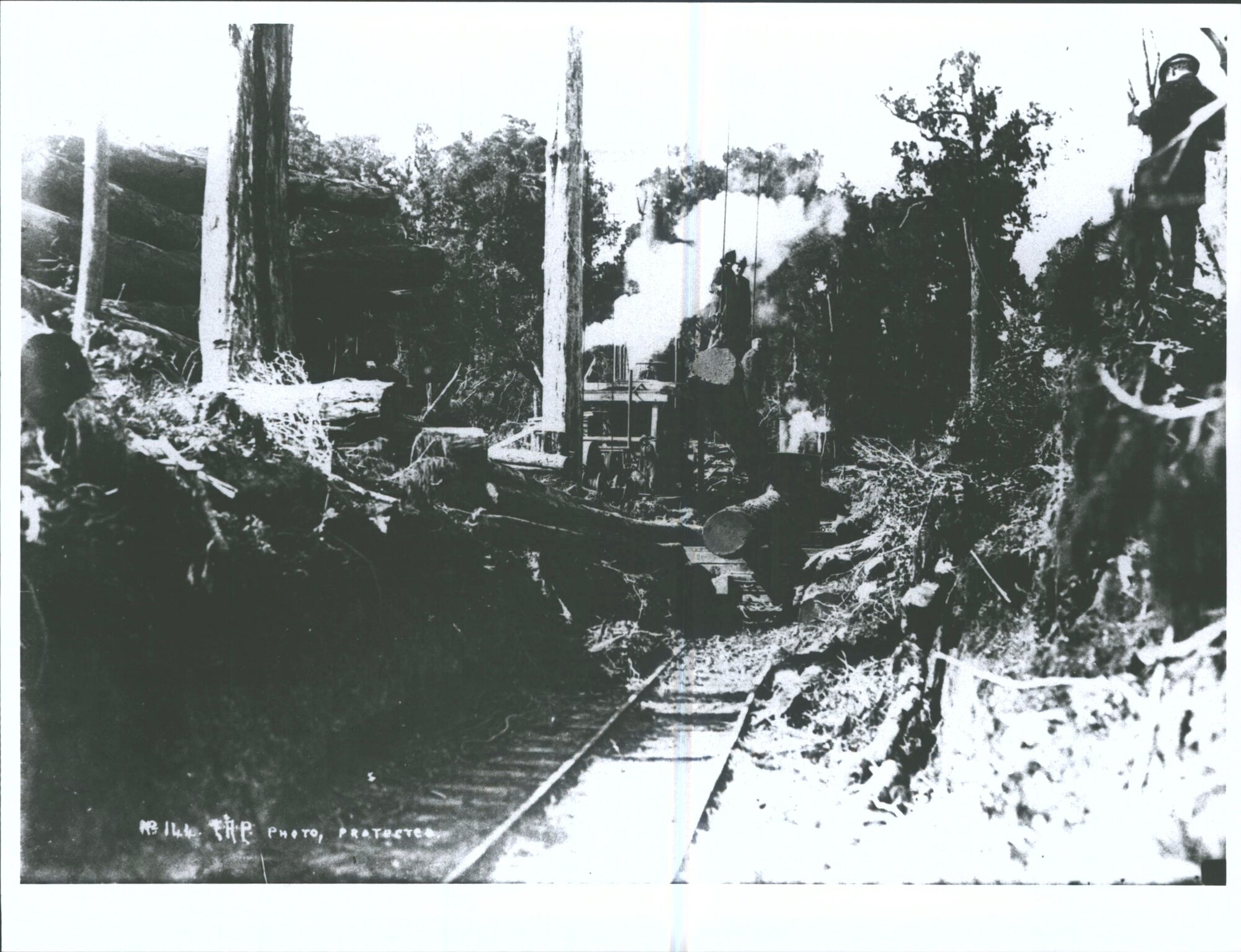 Lidgerwood Log Hauler