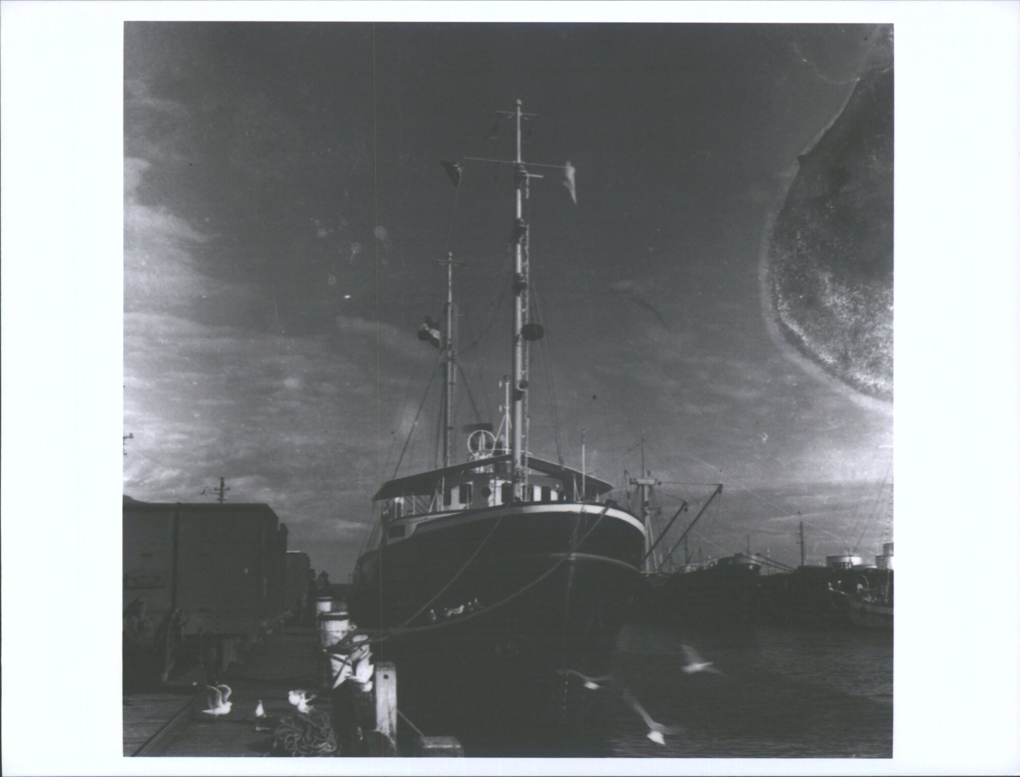 BLUFF-LOIRE (3) (DUTCH TUG)
