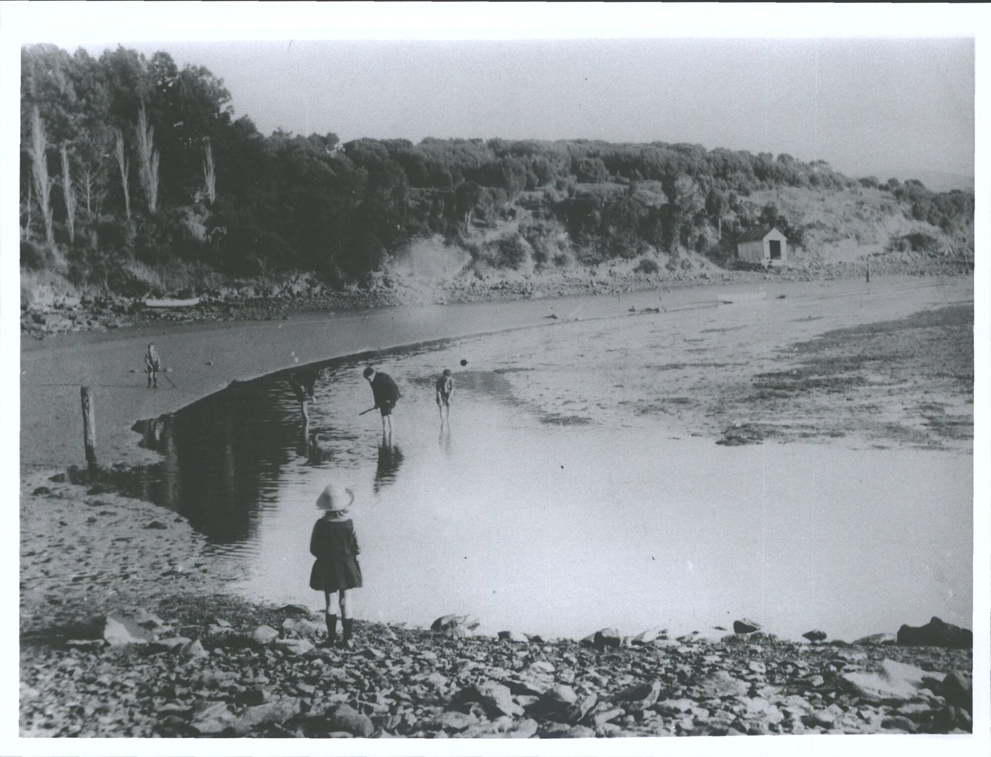 Looking for flounders at Waitati
