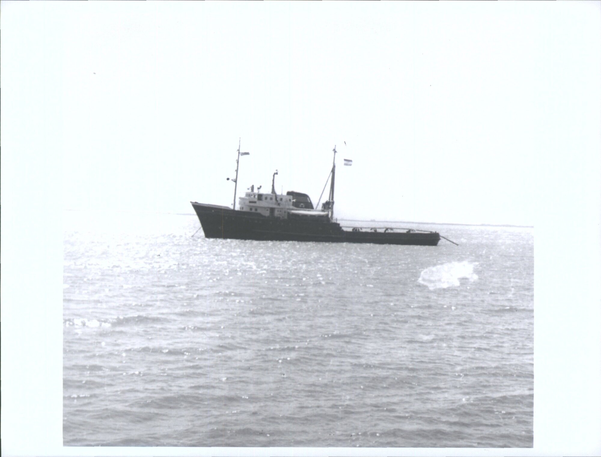 BLUFF-BARENTZ ZEE (1) (DUTCH TUG)