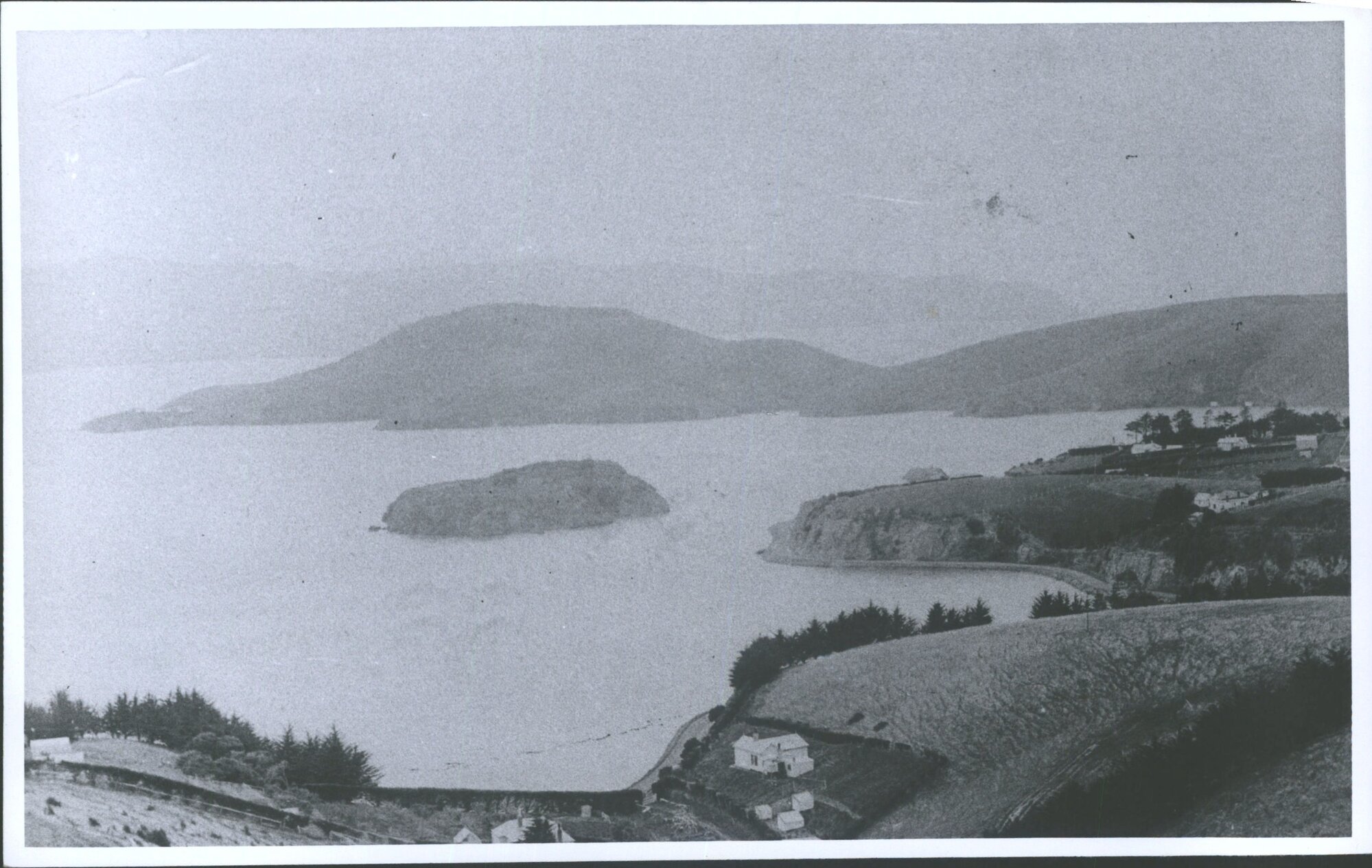 Pudding Island