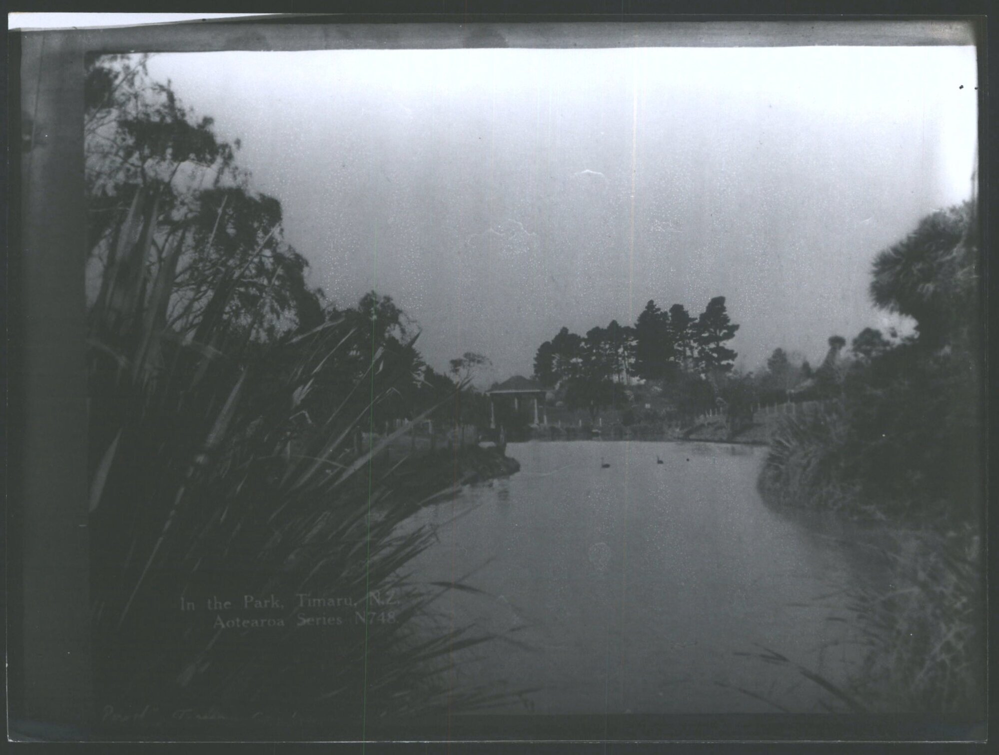 In The Park, Timaru, N.Z.