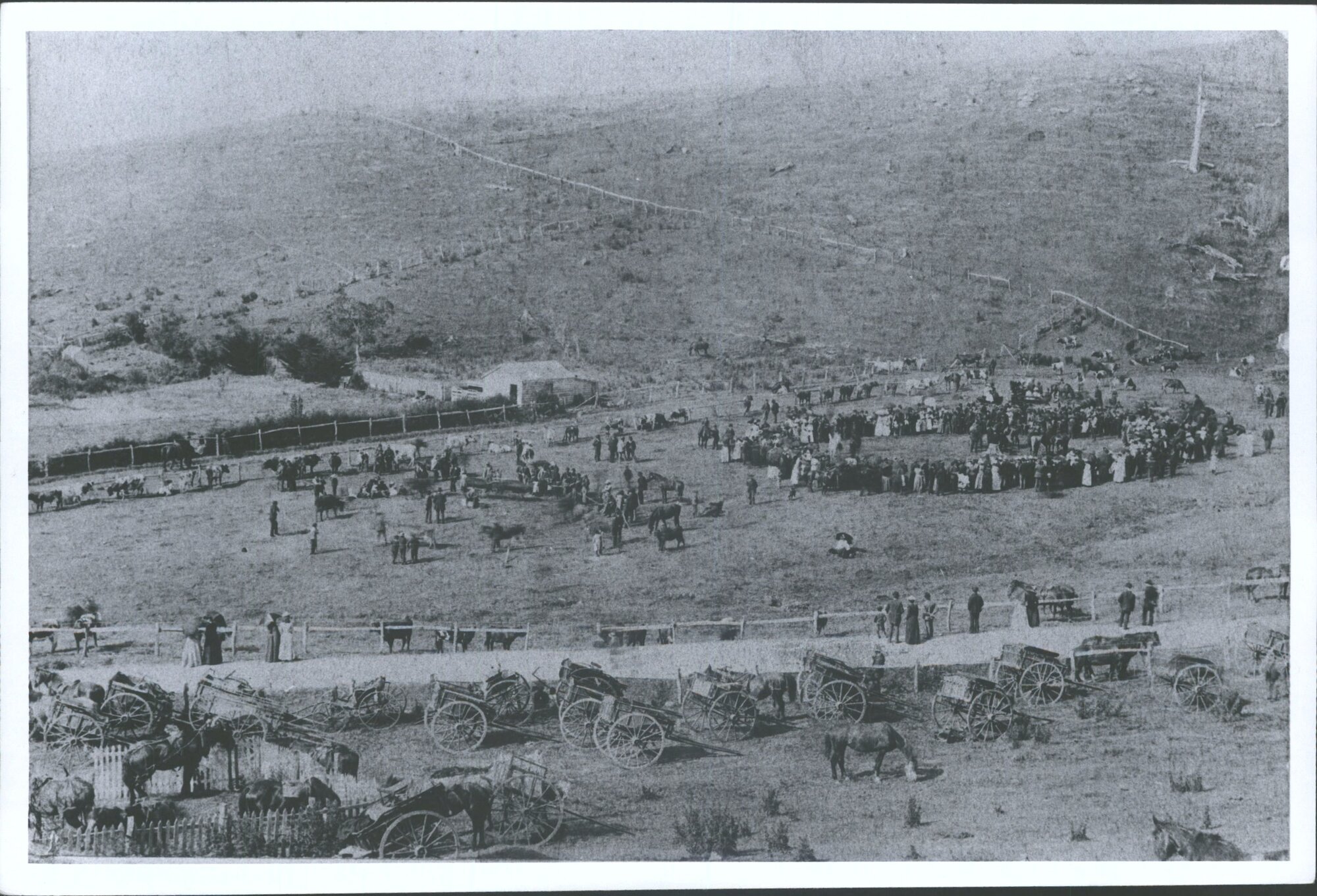 Show Grounds