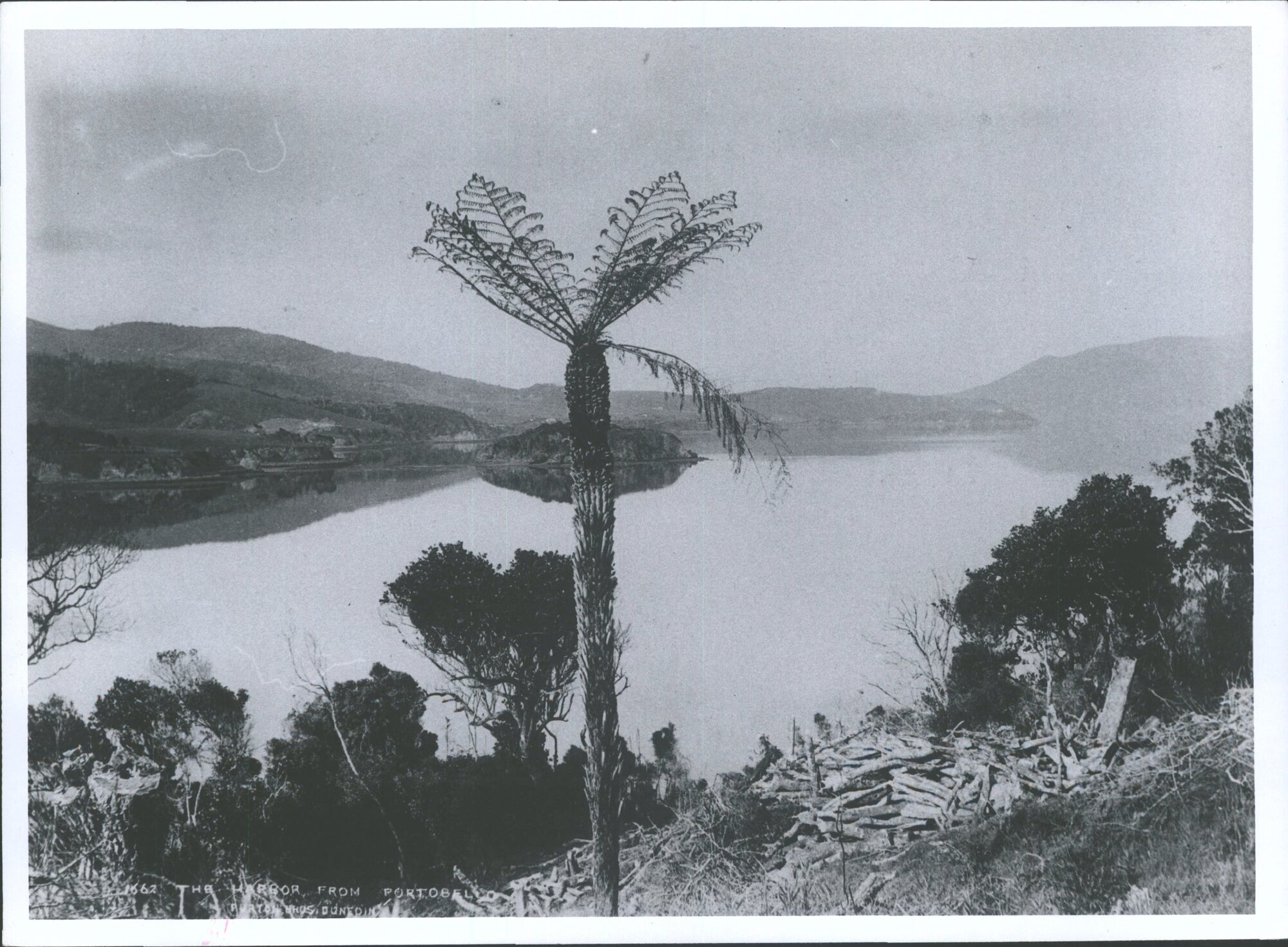 Burton Bros photo taken from Portobello