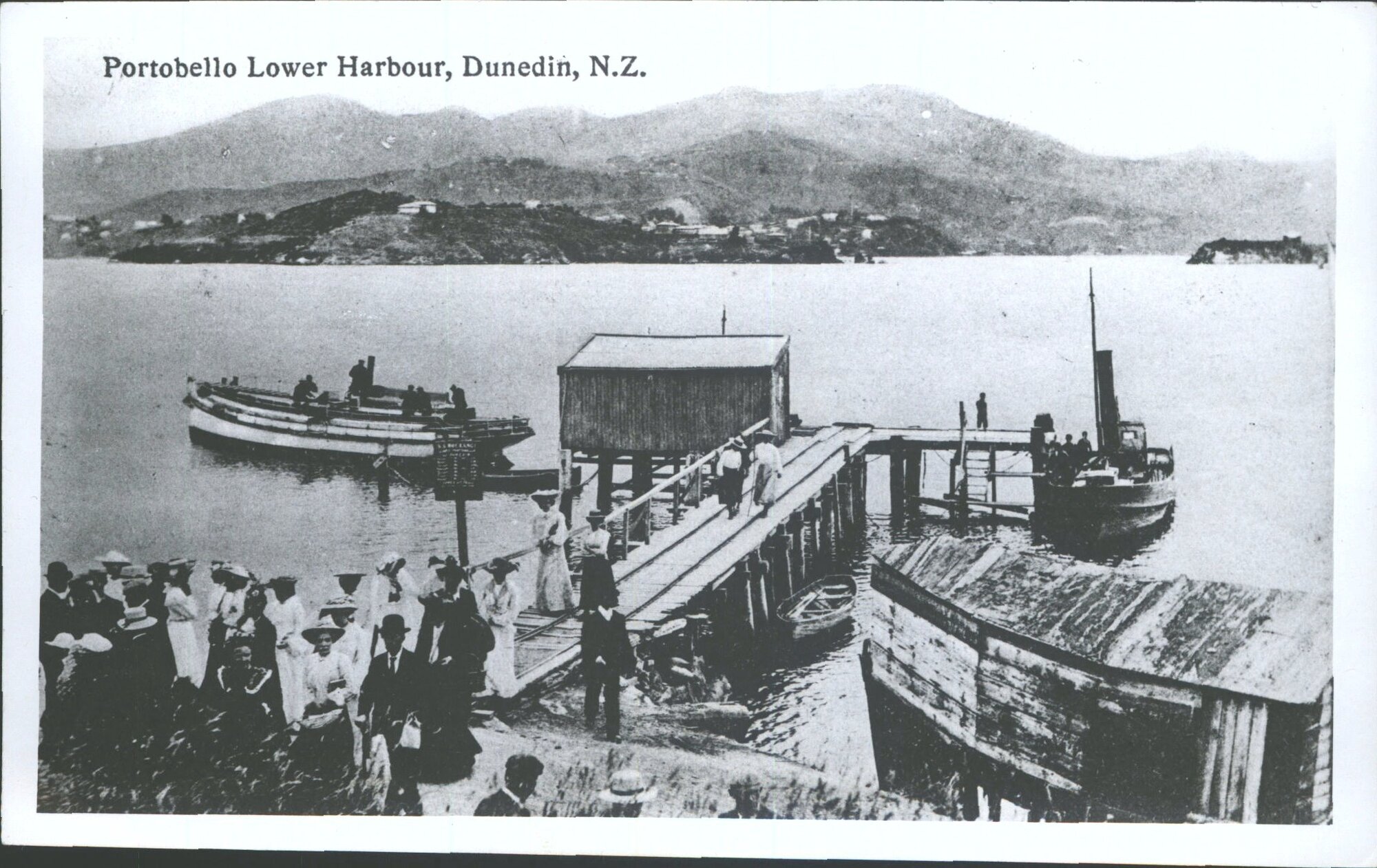 DUNEDIN: Portobello.