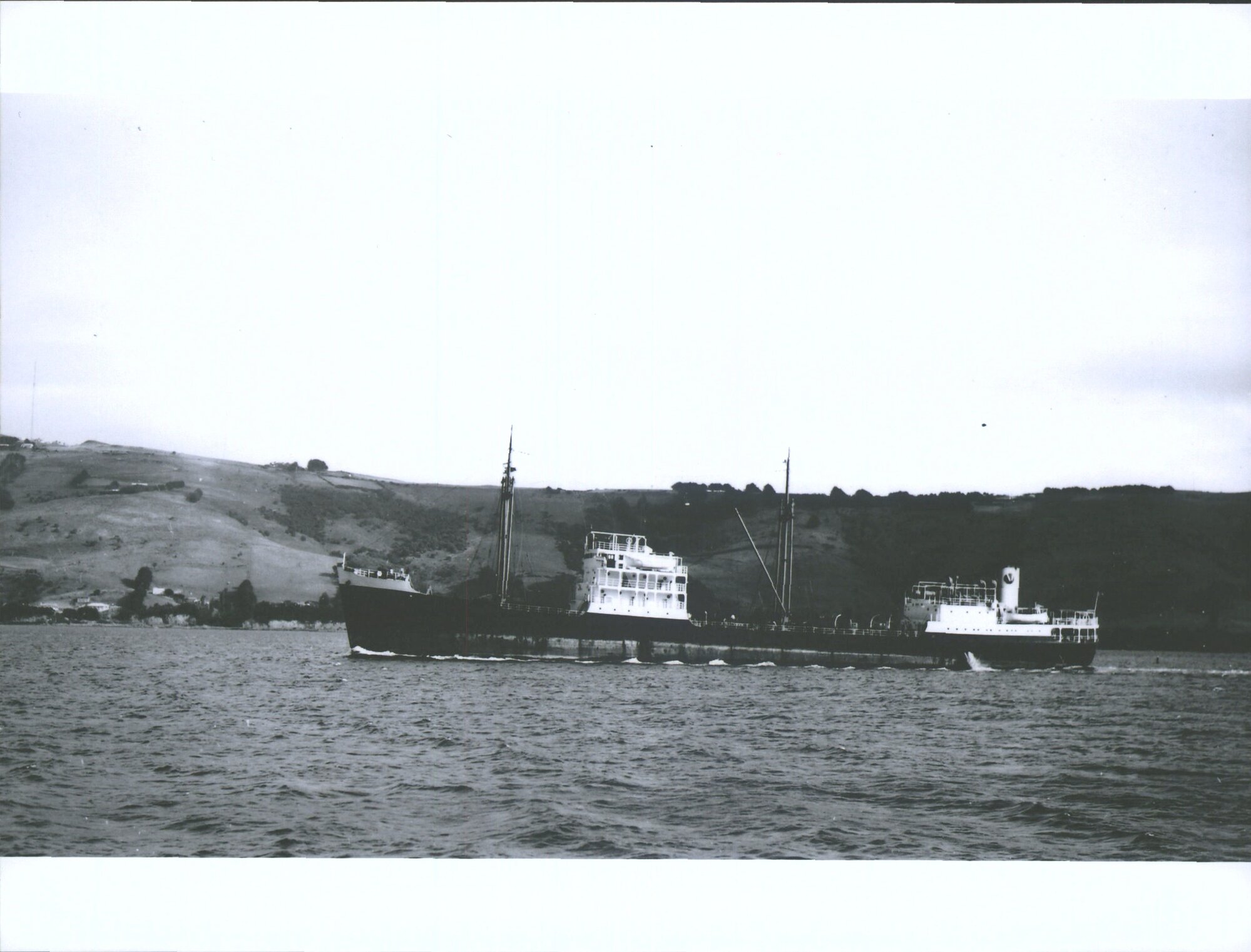 Cyrena