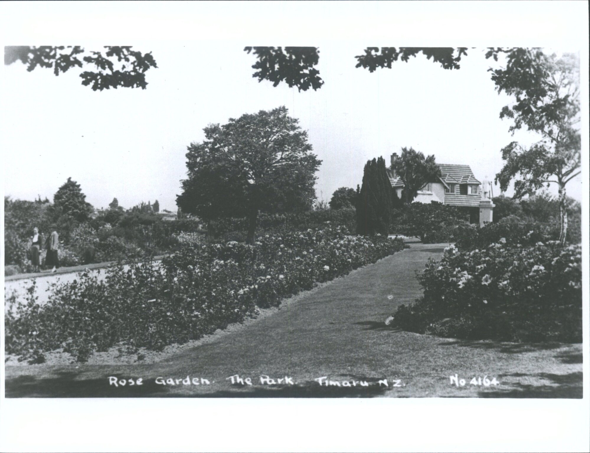 Rose Garden, The Park, Timaru, N.Z.