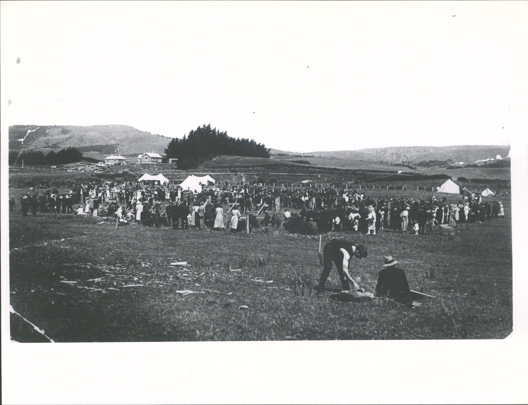 Tokanui Picnic